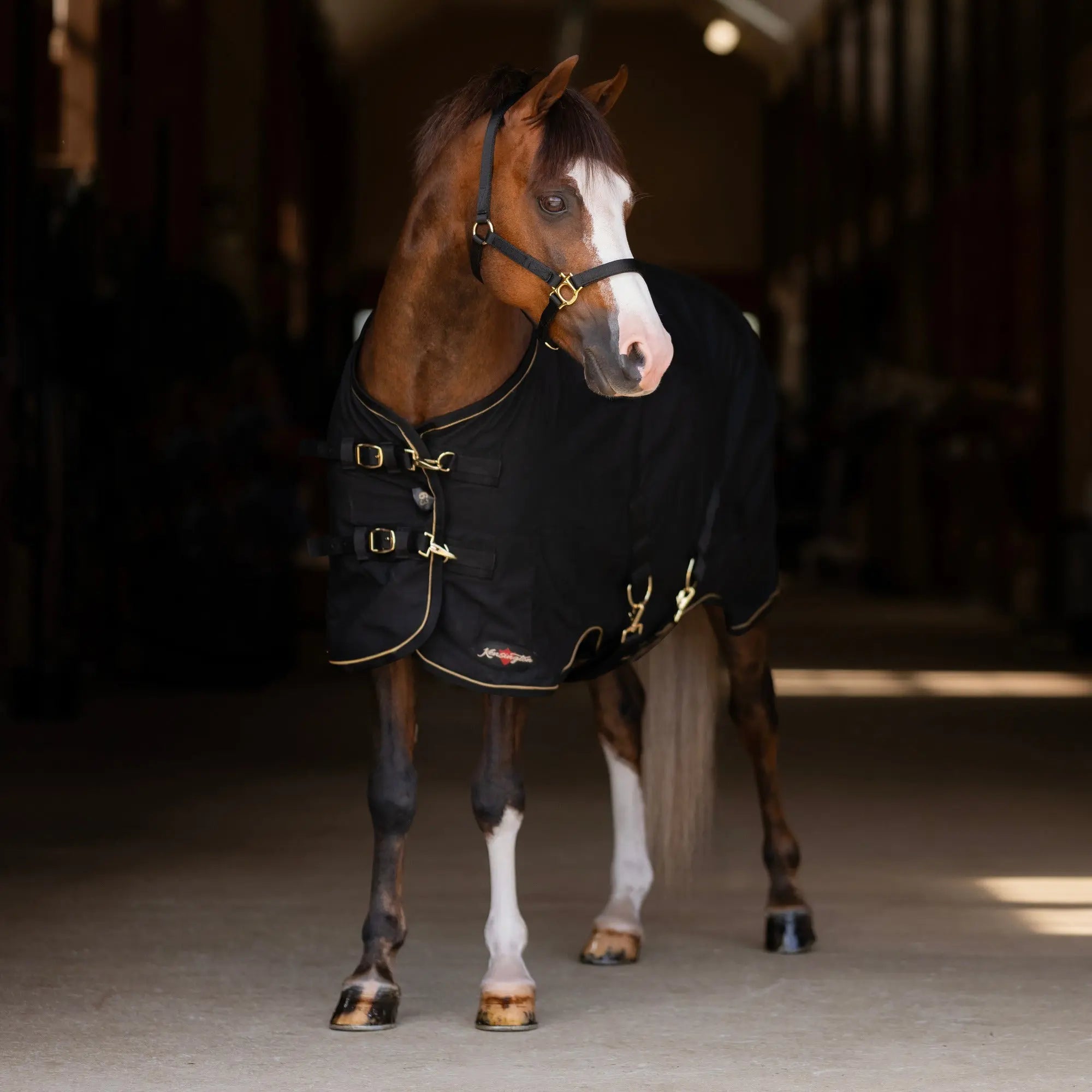 Kensington Pony Poly Cotton Day Sheet - Breathable Stable Sheet