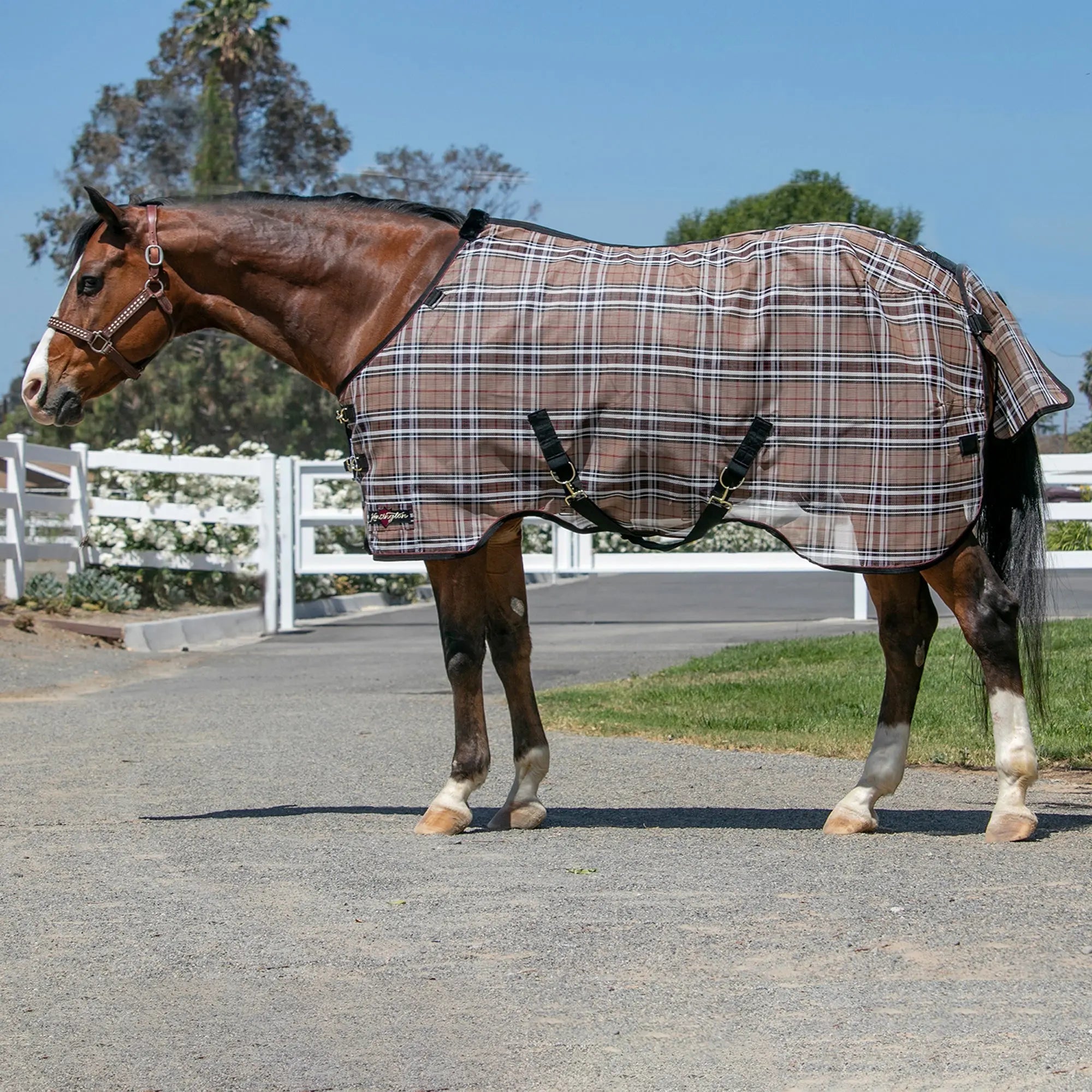 Kensington Horse Protective Fly Sheet  - 73% UV Protection