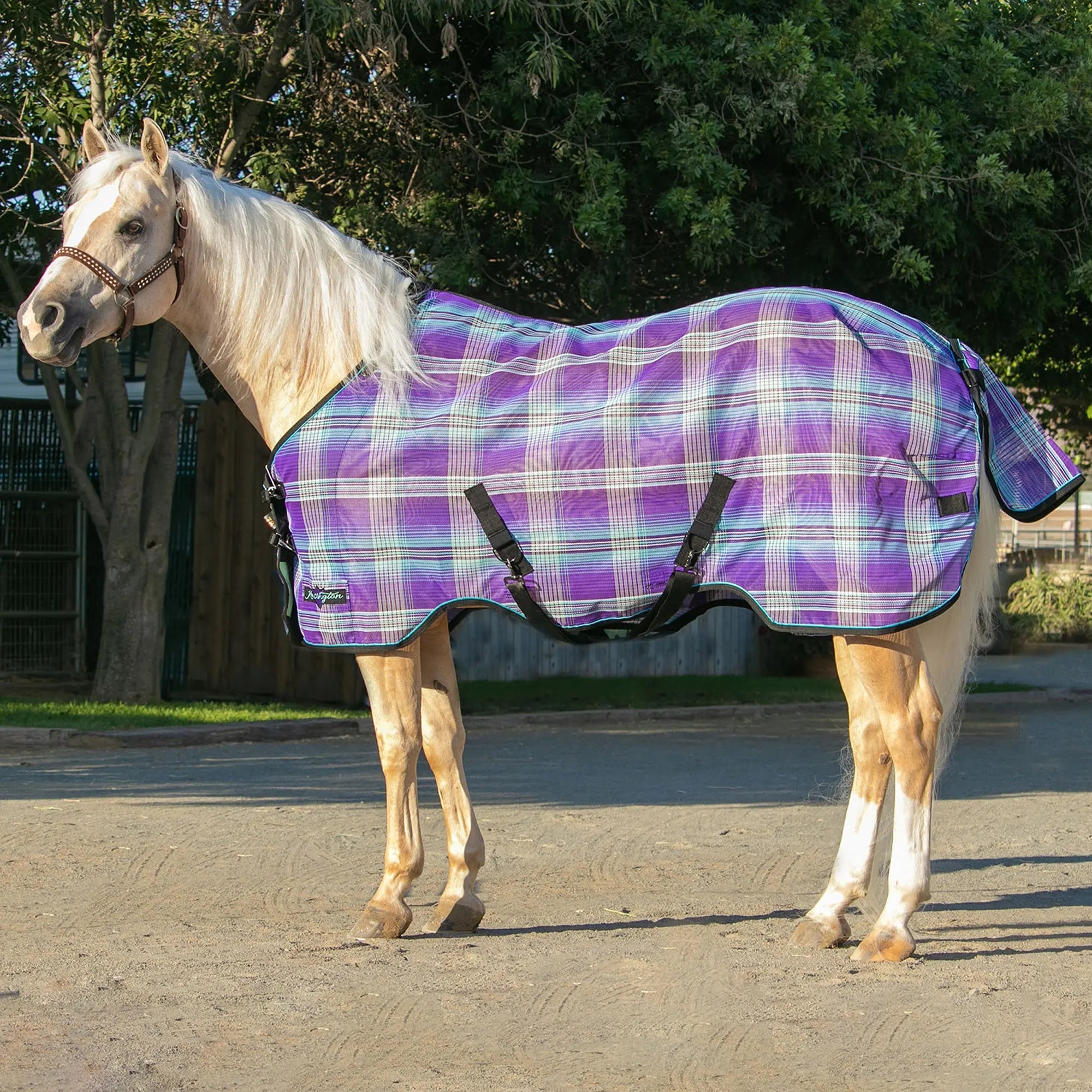 Kensington Horse Protective Fly Sheet  - 73% UV Protection