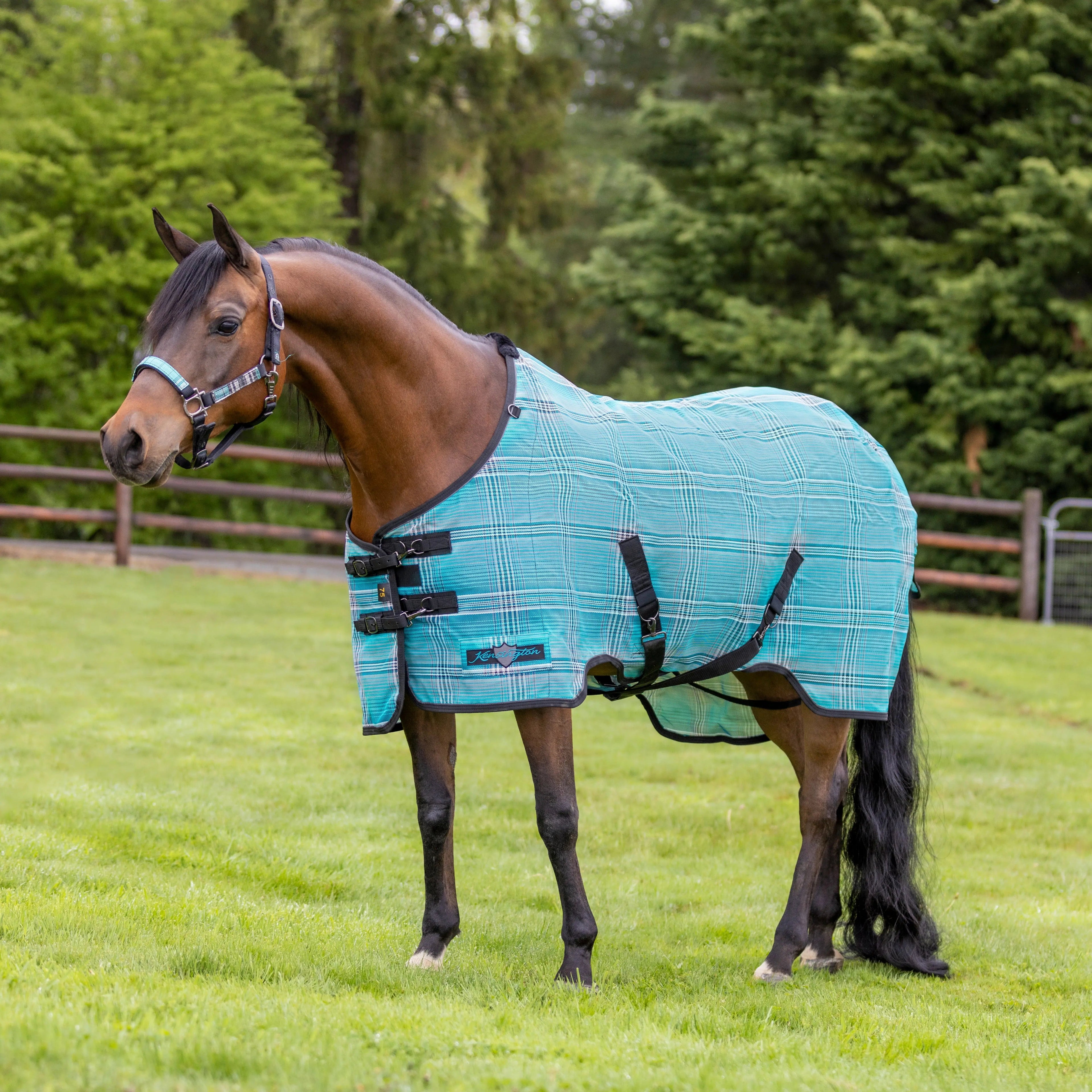 Kensington Horse Protective Fly Sheet  - 73% UV Protection