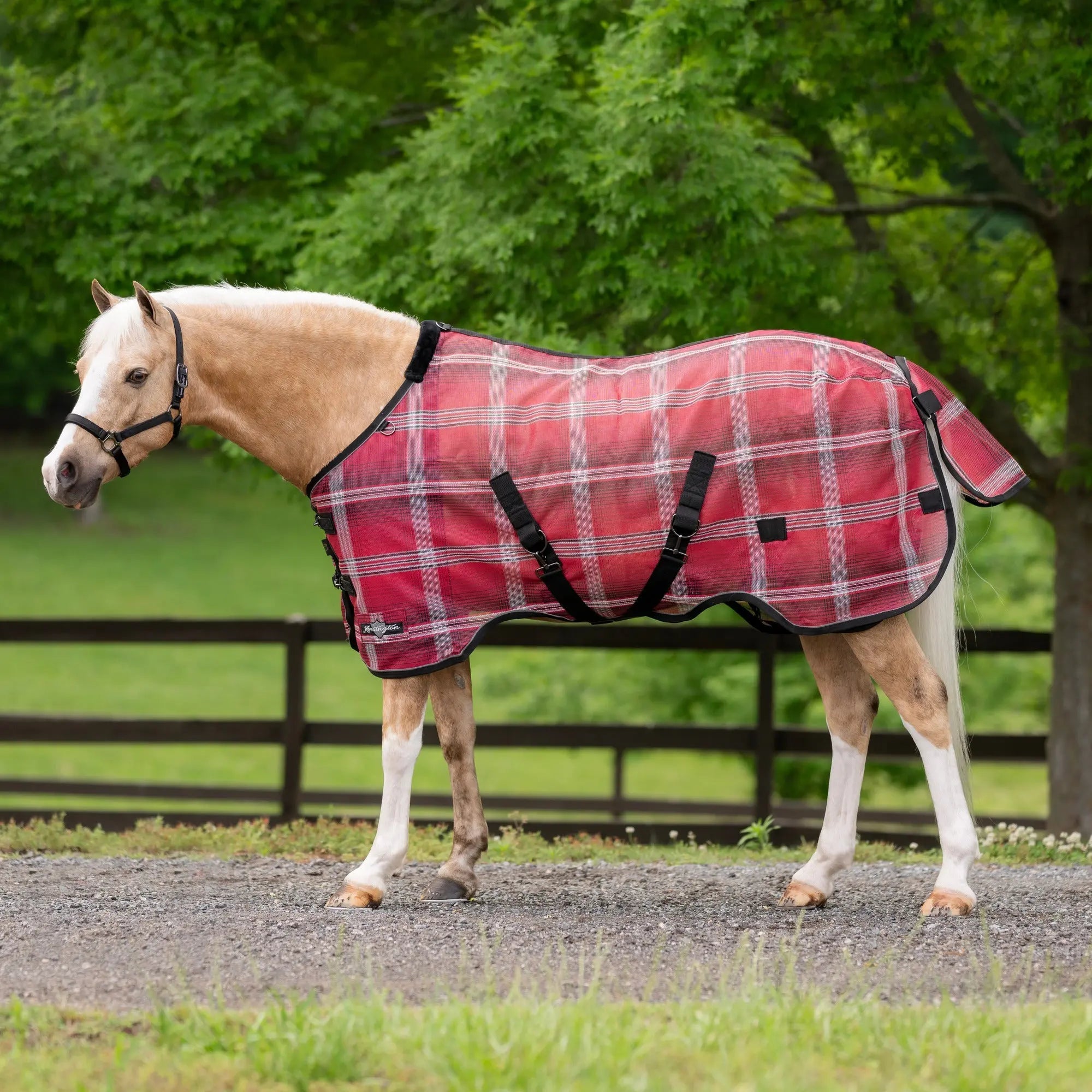 Kensington Pony Protective Fly Sheet - 73% UV Protection