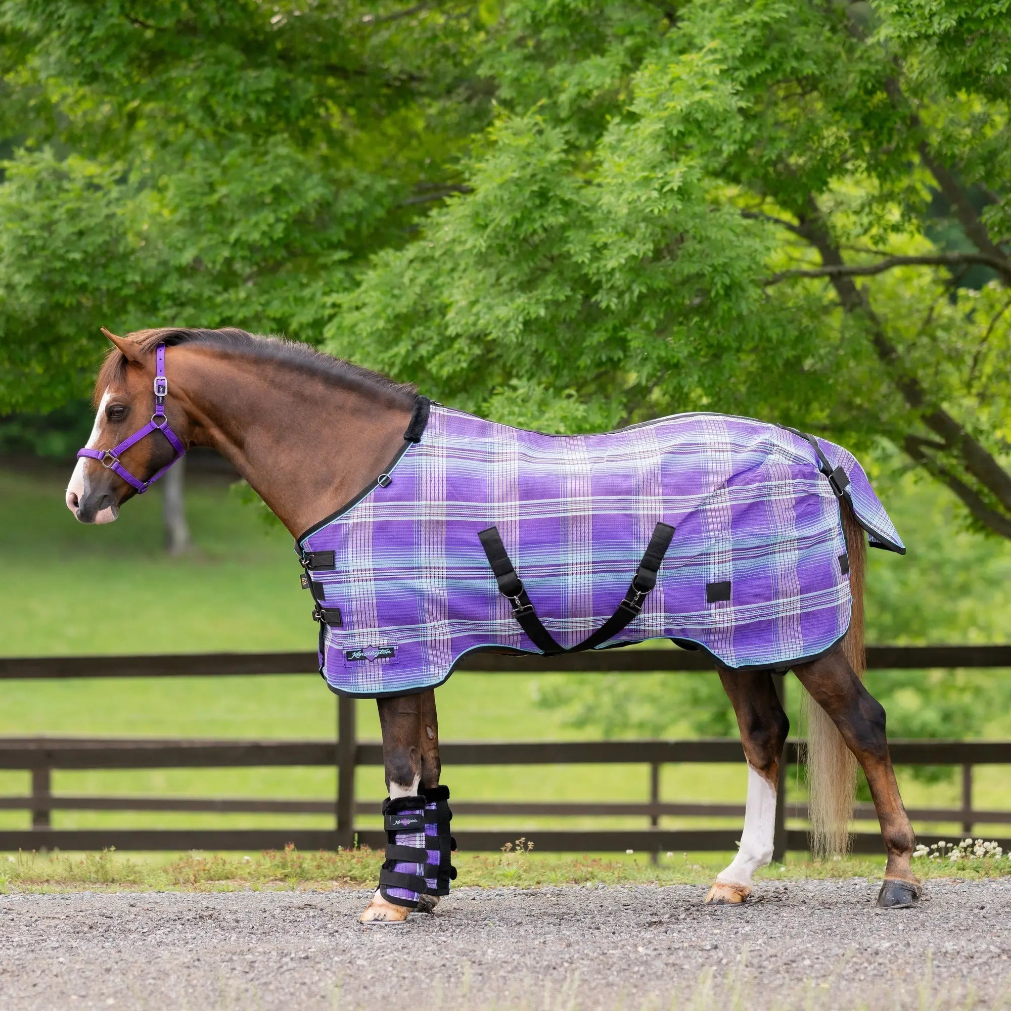 Kensington Pony Protective Fly Sheet - 73% UV Protection