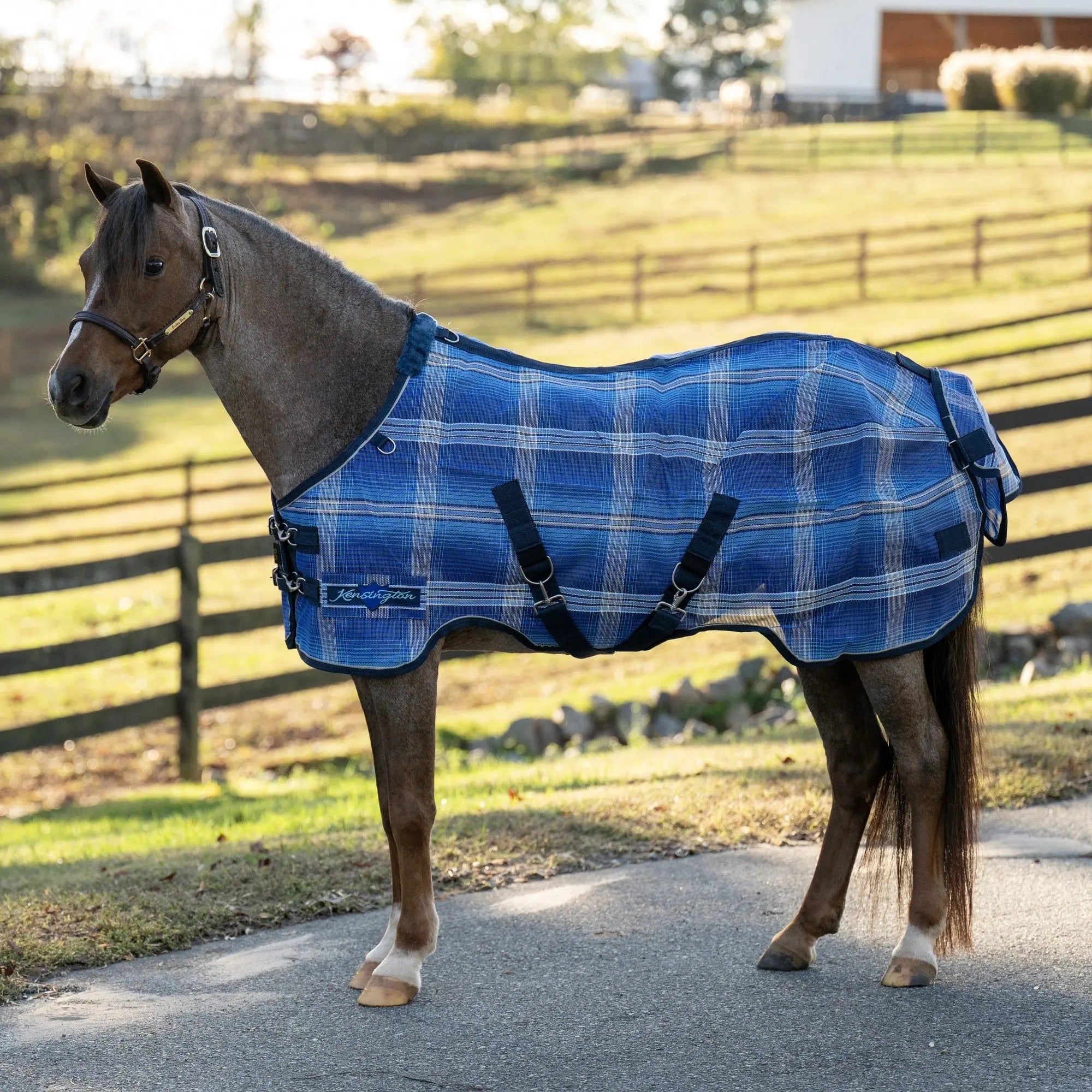 Kensington Pony Protective Fly Sheet - 73% UV Protection