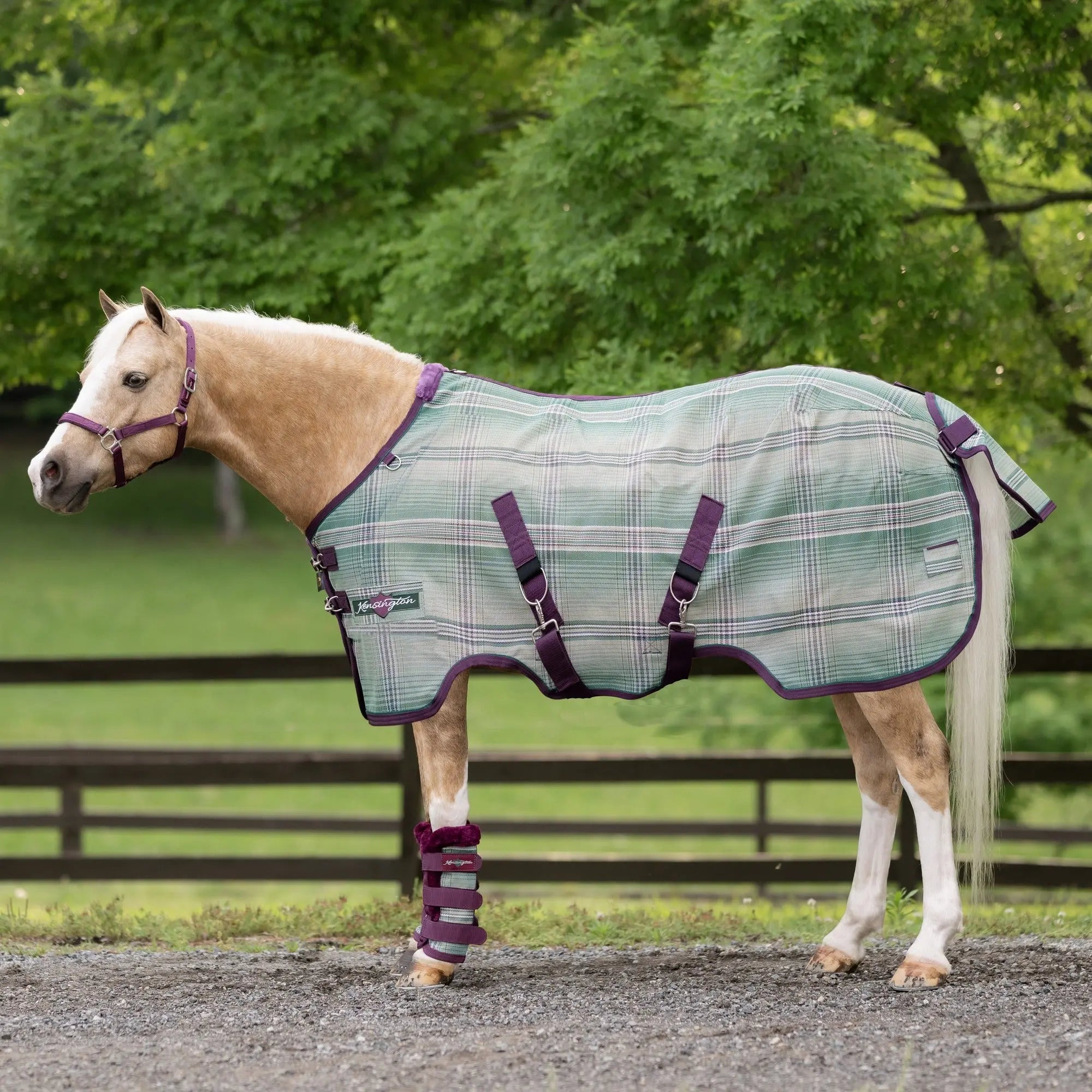 Kensington Pony Protective Fly Sheet - 73% UV Protection