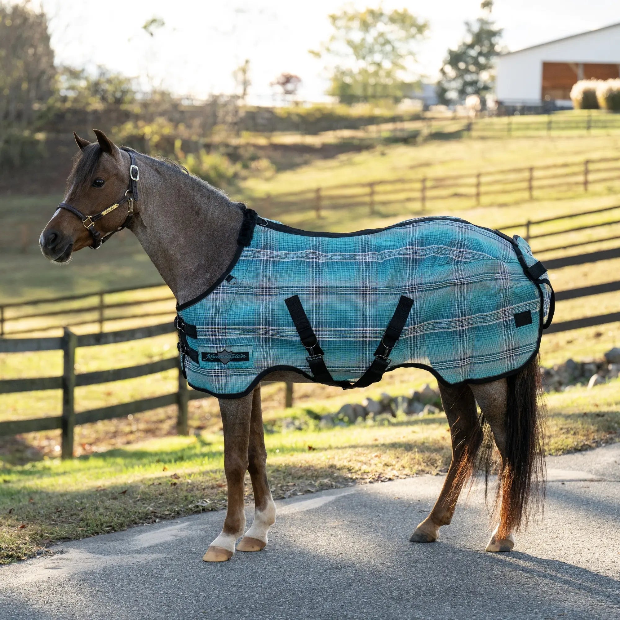 Kensington Pony Protective Fly Sheet - 73% UV Protection