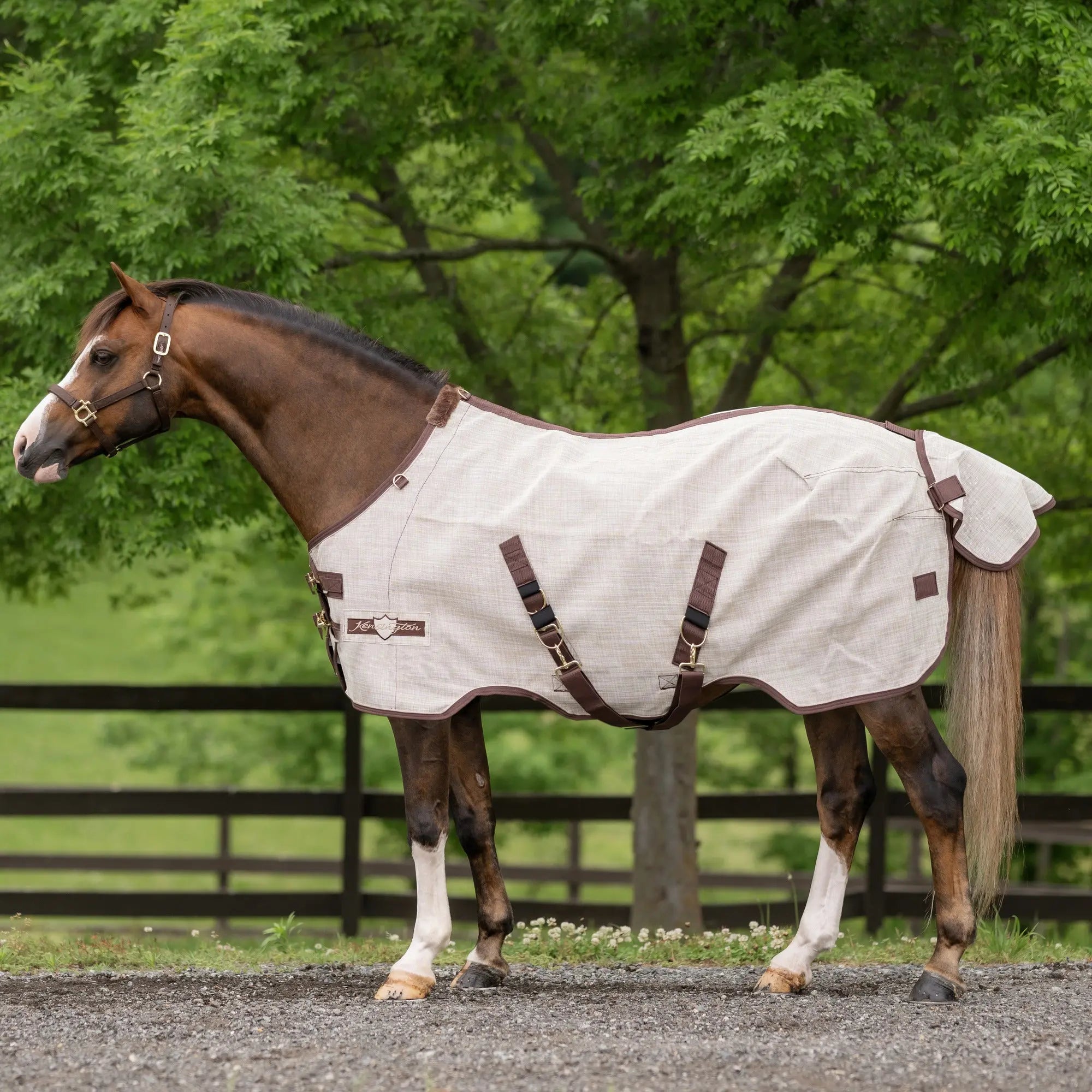 Kensington Pony Protective Fly Sheet - 73% UV Protection