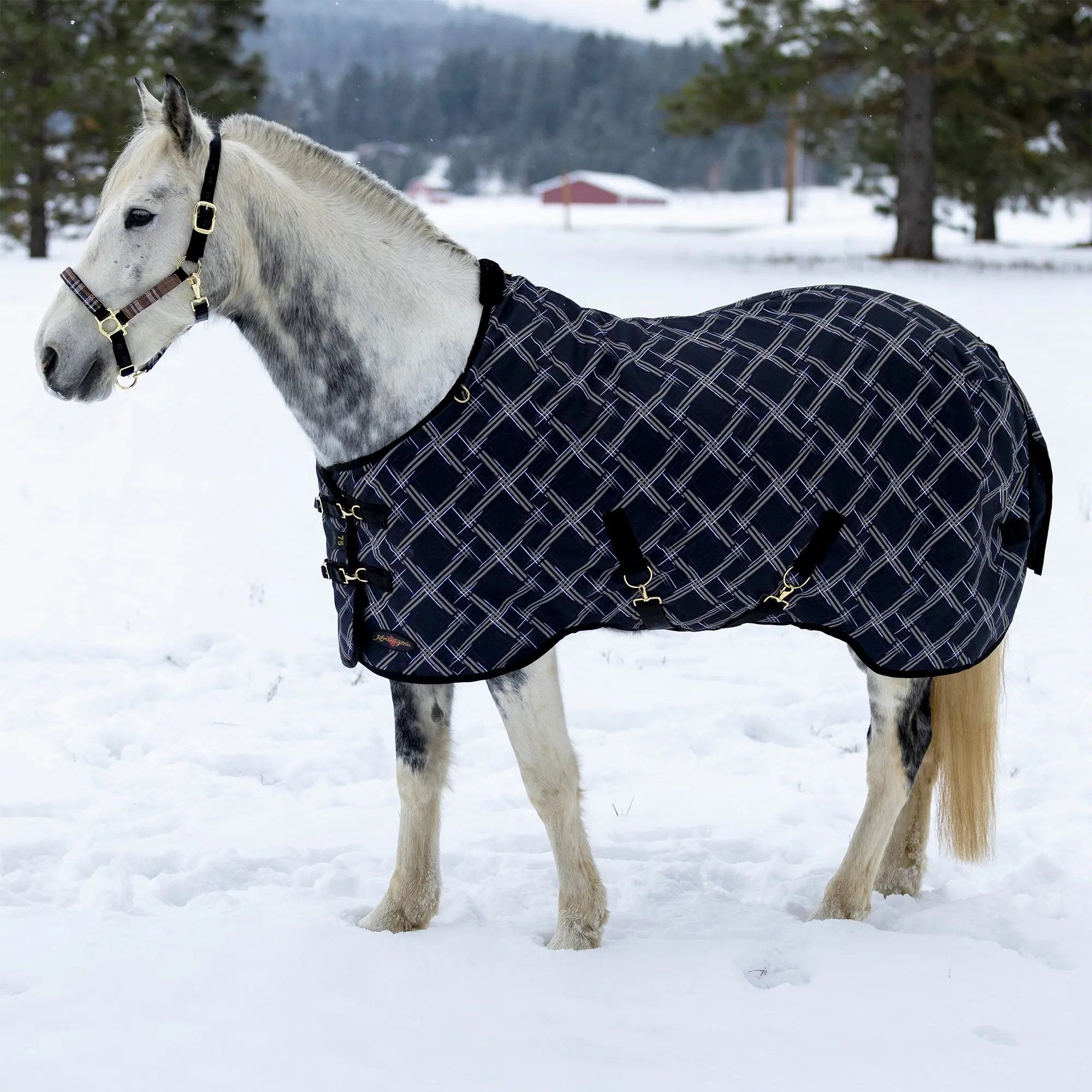 1200D Heavyweight 300g Horse Winter Turnout Blanket - Waterproof & Breathable
