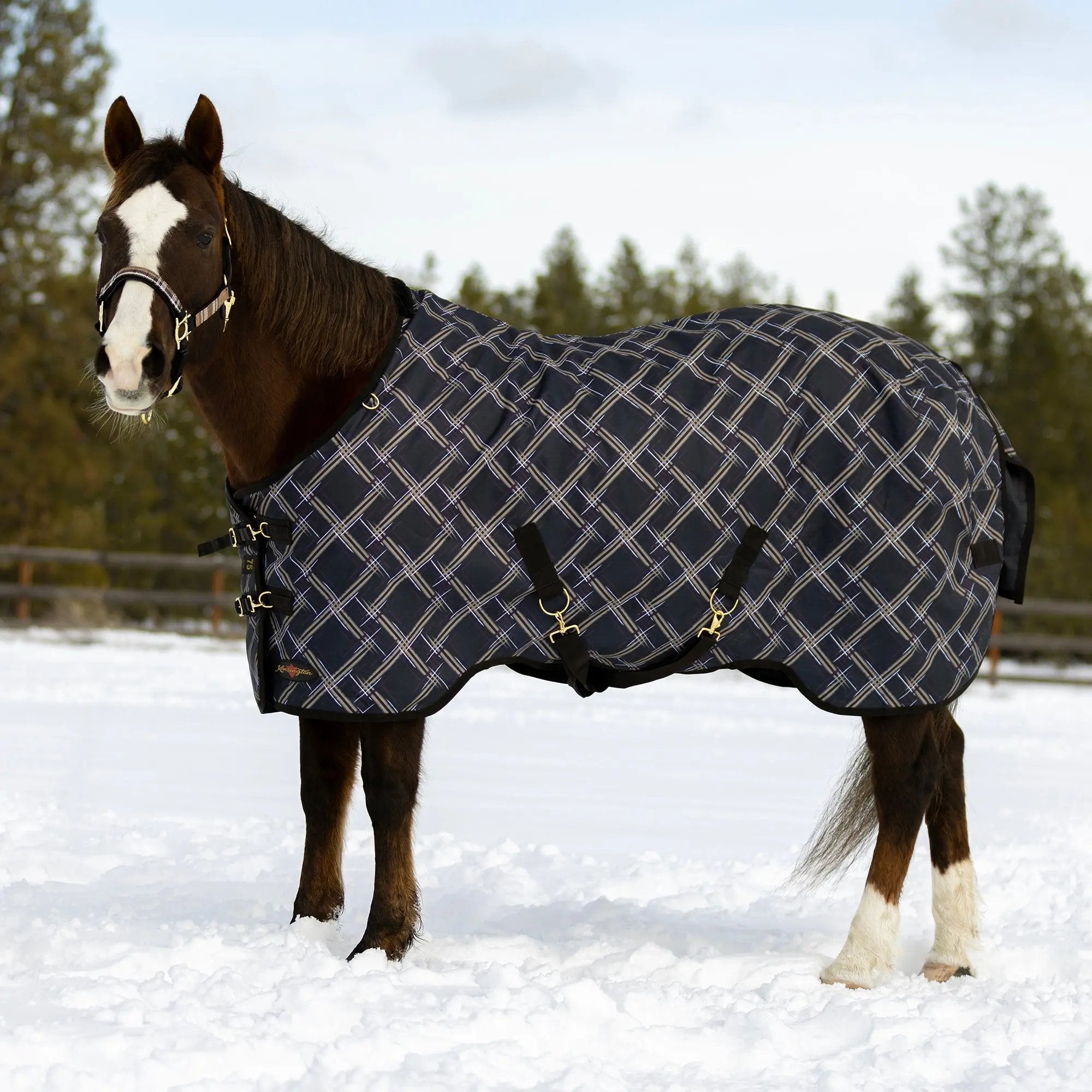 1200D Heavyweight 300g Horse Winter Turnout Blanket - Waterproof & Breathable