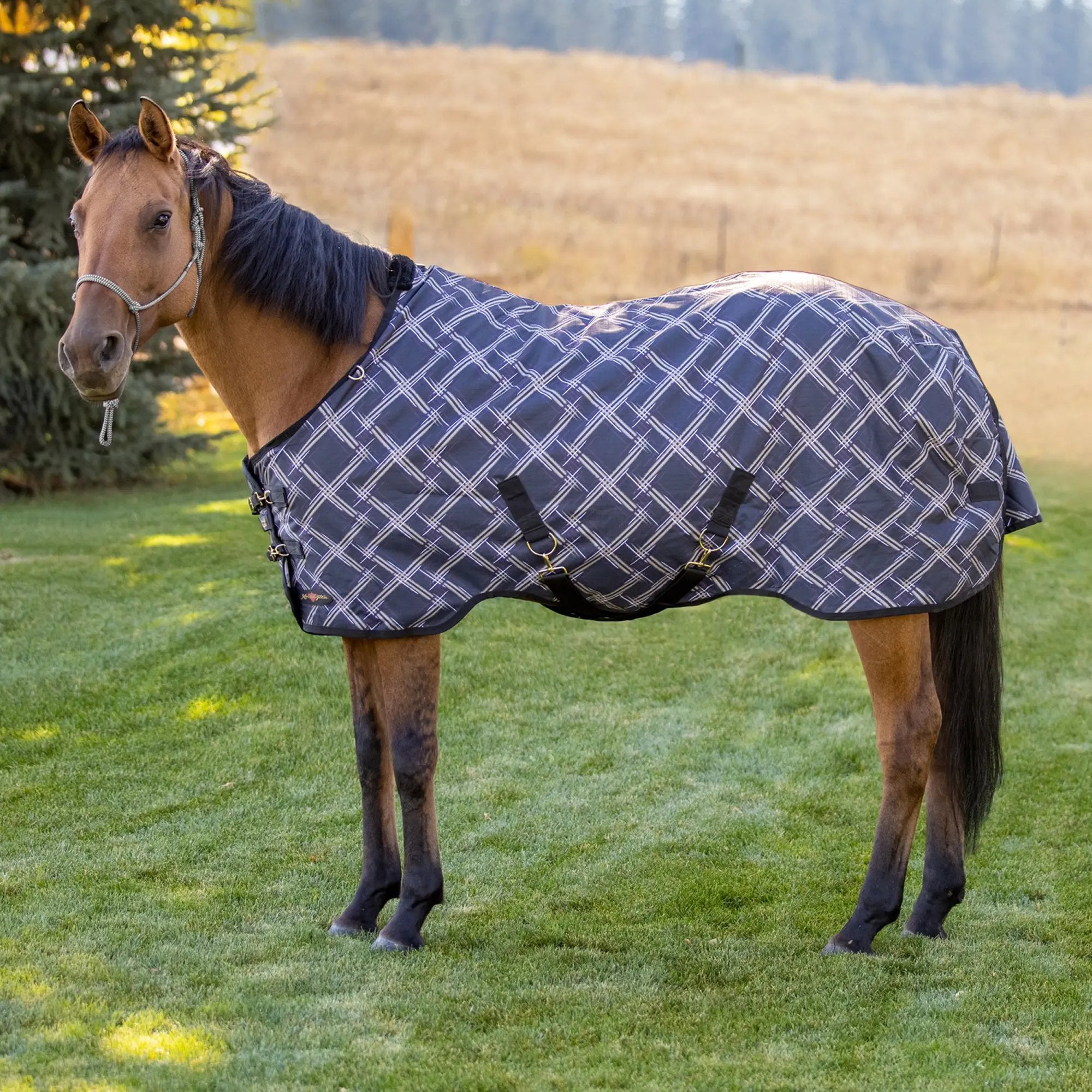 1200D Lightweight 80g Horse Winter Turnout Blanket - Waterproof & Breathable
