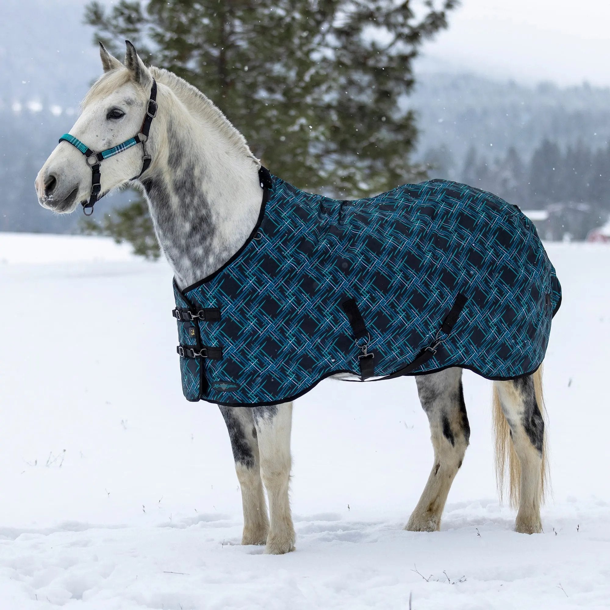 1200D Heavyweight 300g Horse Winter Turnout Blanket - Waterproof & Breathable
