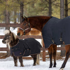 Kensington Mini 80G Light Weight Horse Winter Turnout Blanket - Waterproof & Breathable