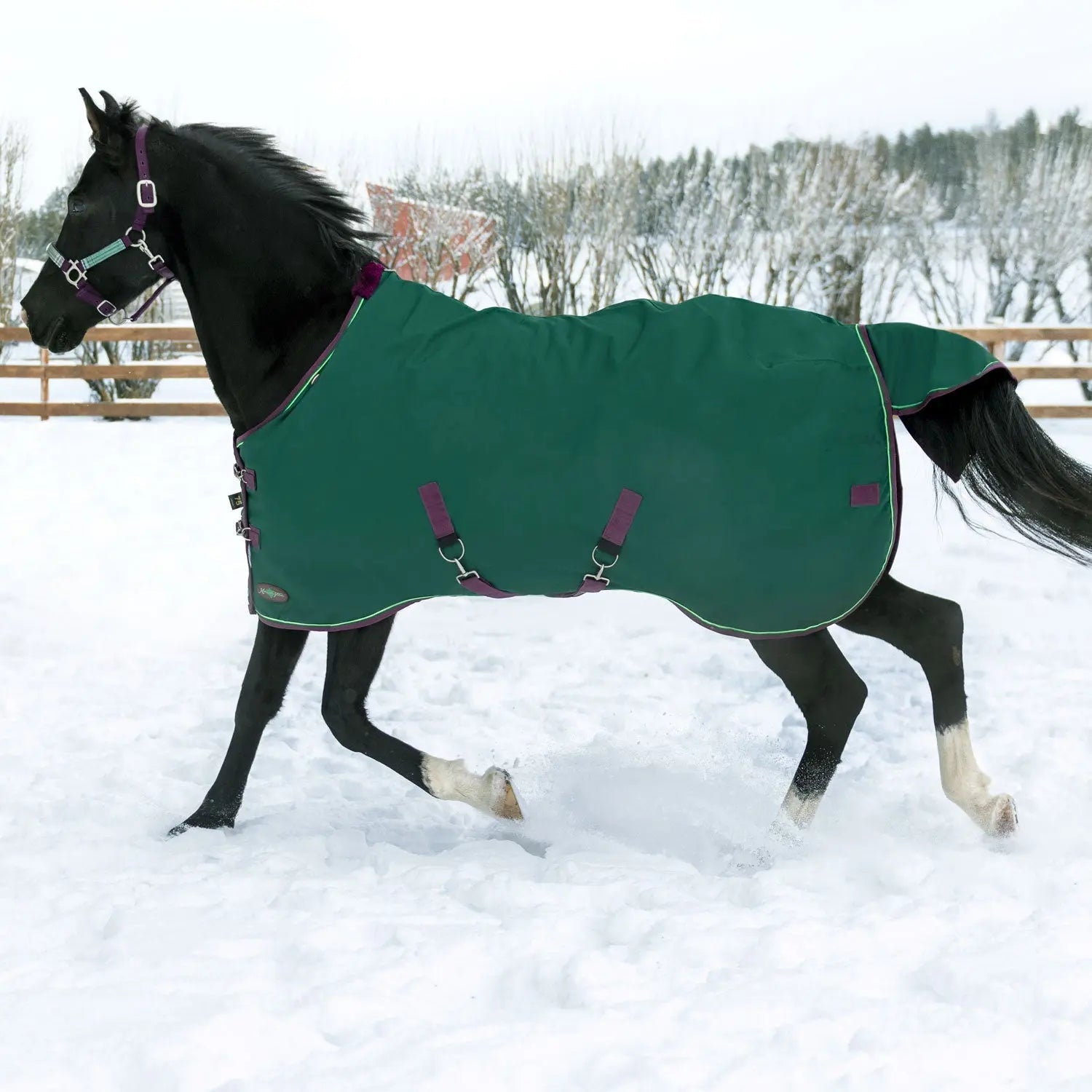1200D Midweight 180g Horse Winter Turnout Blanket - Waterproof & Breathable