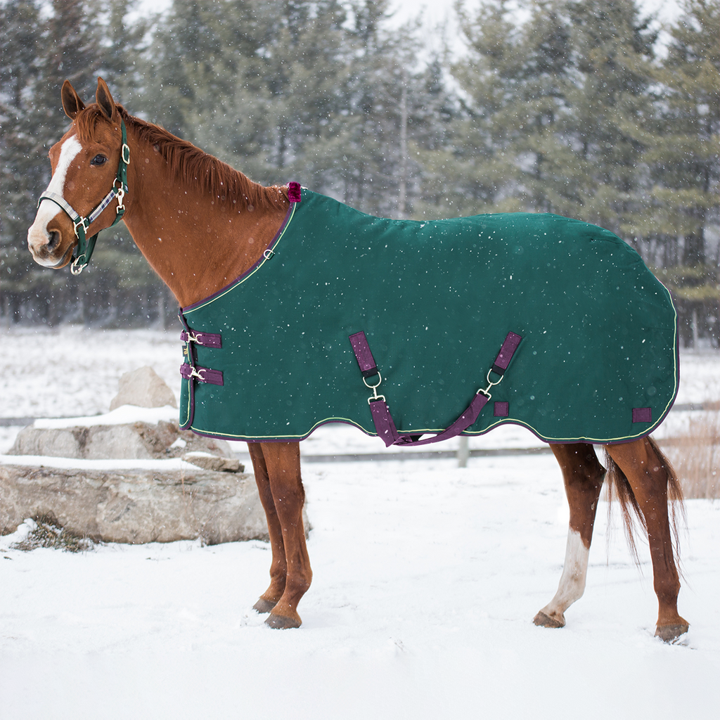 1200D Heavyweight 300g Horse Winter Turnout Blanket - Waterproof & Breathable