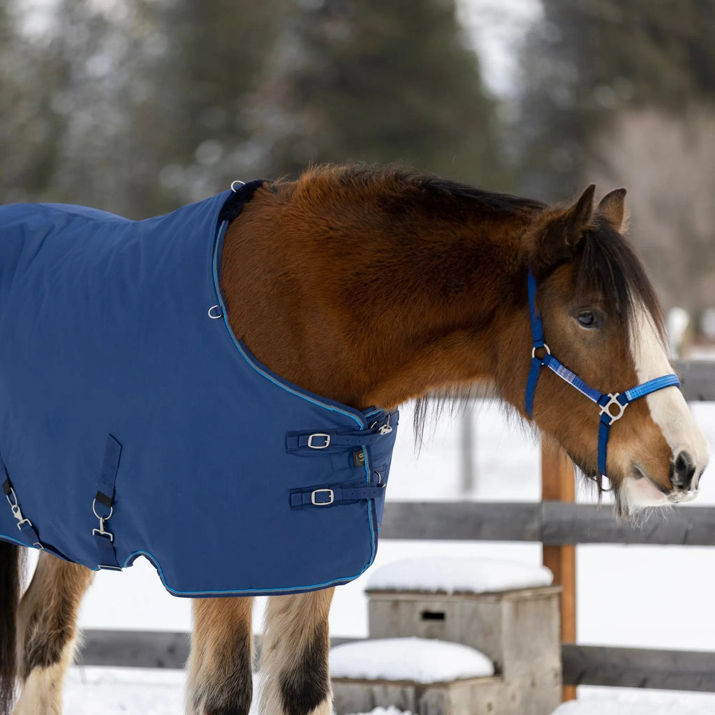 Kensington Draft Horse Midweight 180g Winter Turnout Blanket - Waterproof & Breathable