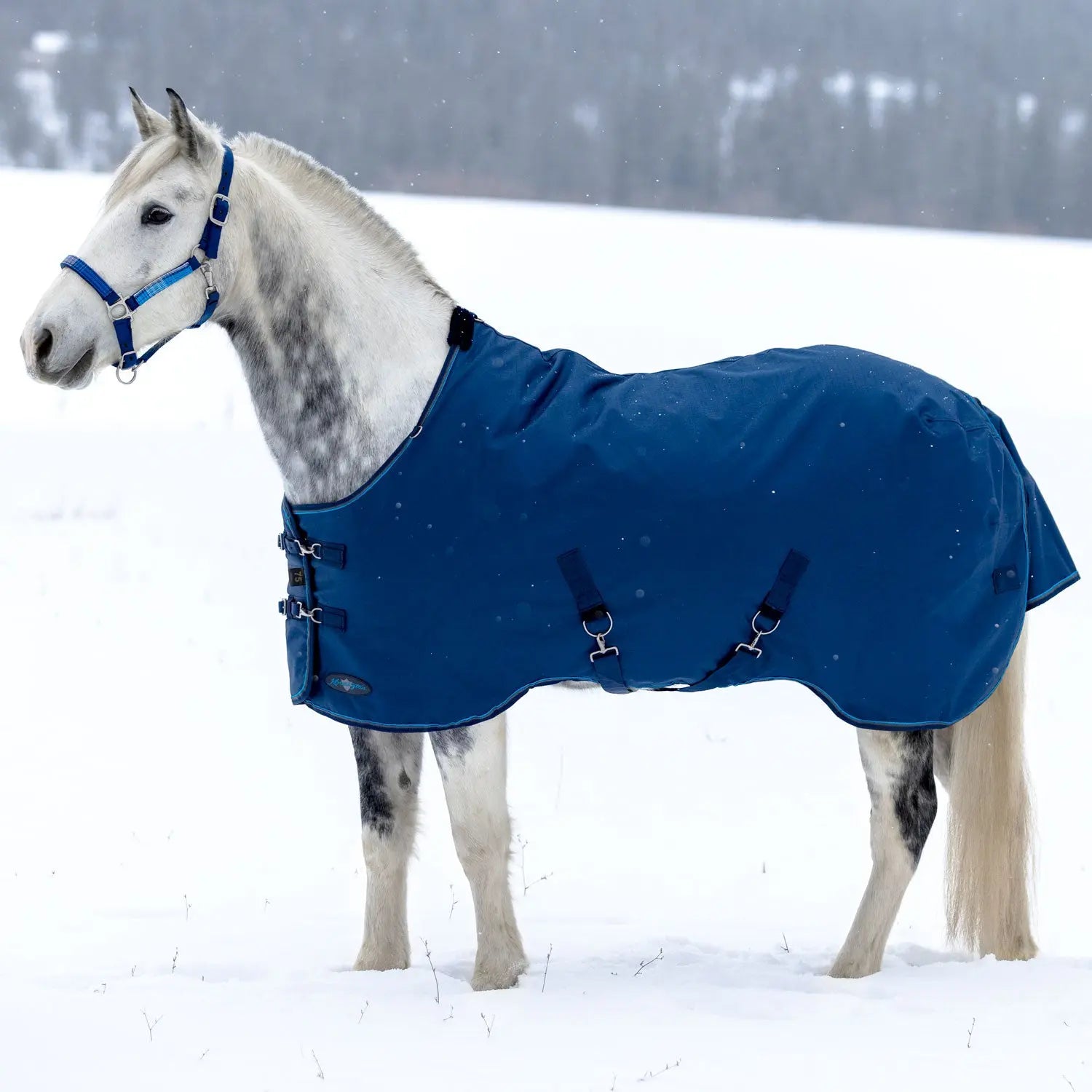 1200D Heavyweight 300g Horse Winter Turnout Blanket - Waterproof & Breathable