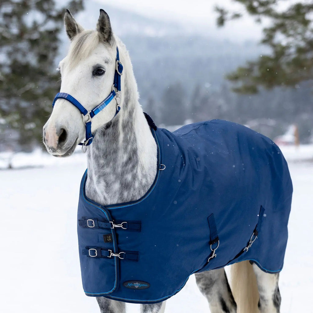 1200D Midweight 180g Horse Winter Turnout Blanket - Waterproof & Breathable