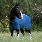 Kensington Draft Horse Lightweight 80g Winter Turnout Blanket - Waterproof & Breathable