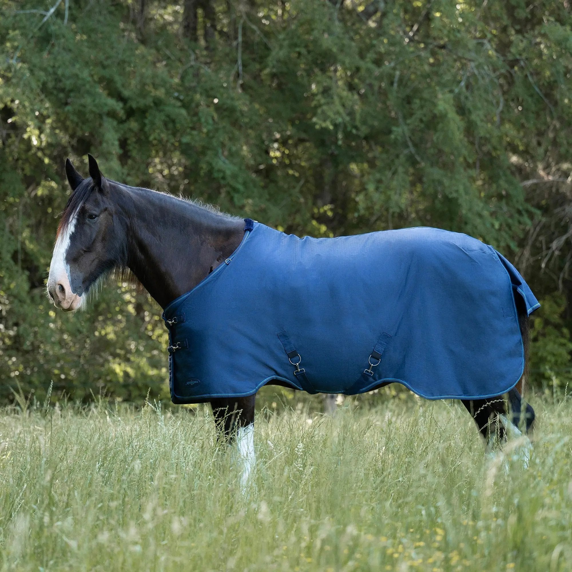 Kensington Draft Horse Lightweight 80g Winter Turnout Blanket - Waterproof & Breathable