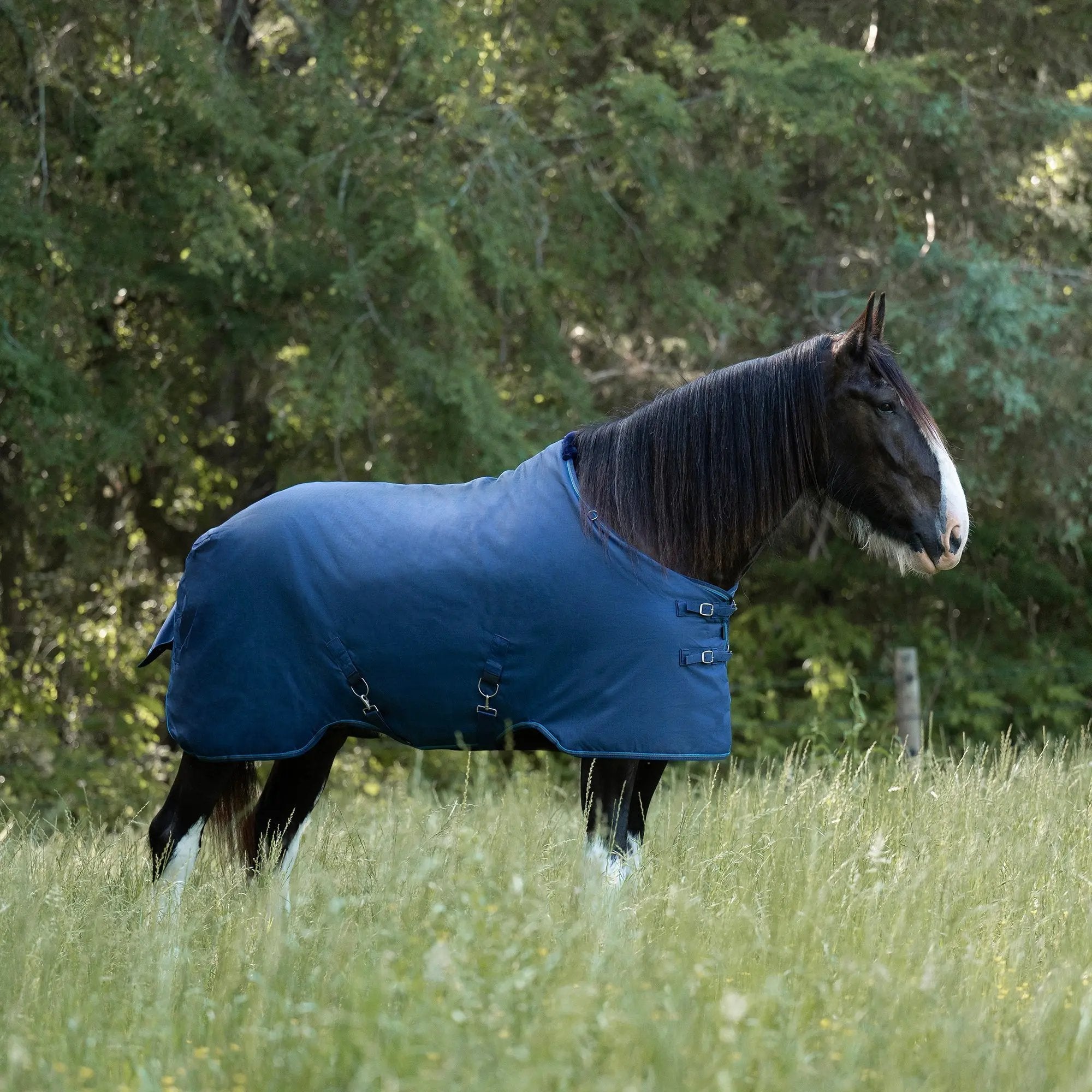 Kensington Draft Horse Midweight 180g Winter Turnout Blanket - Waterproof & Breathable