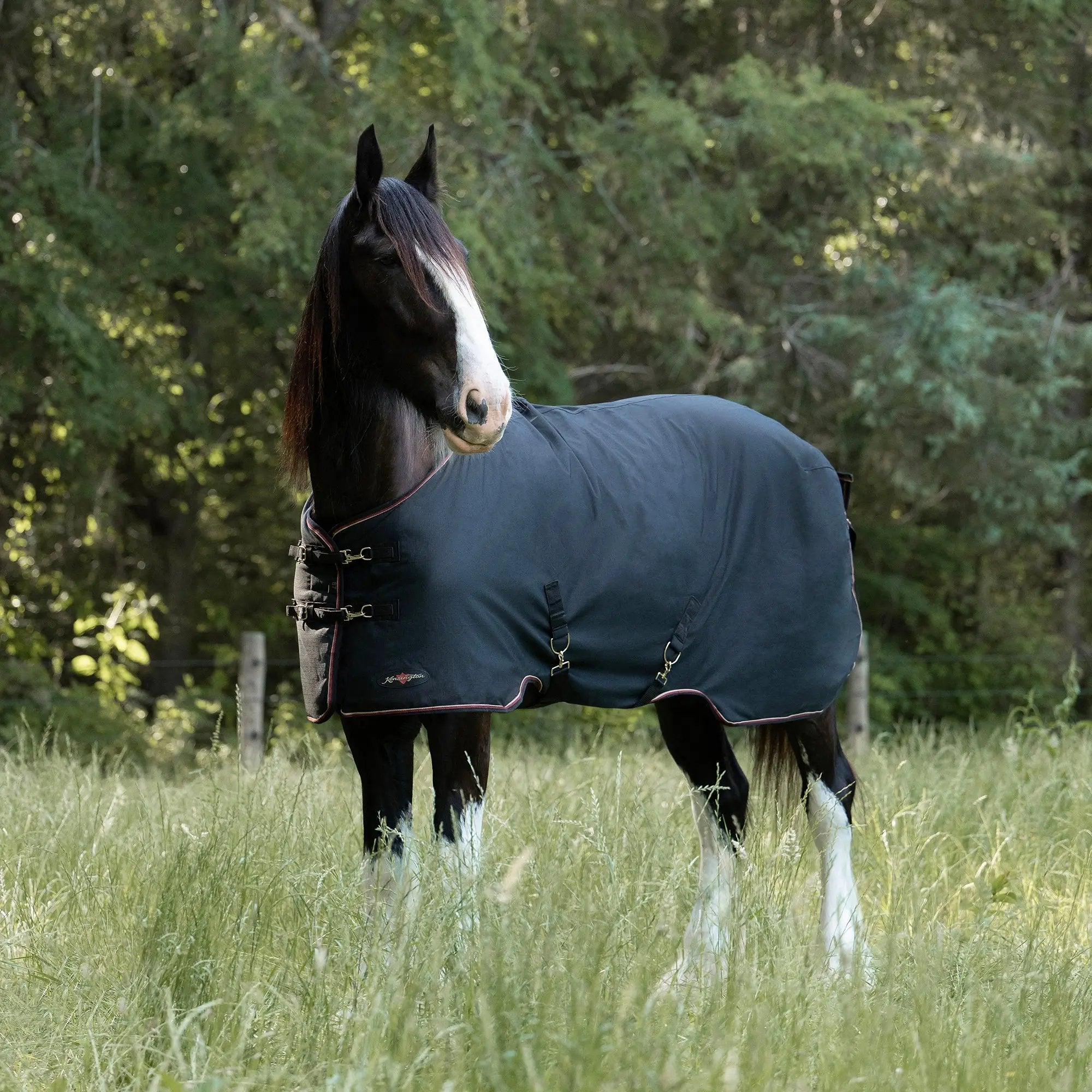 Kensington Draft Horse Lightweight 80g Winter Turnout Blanket - Waterproof & Breathable