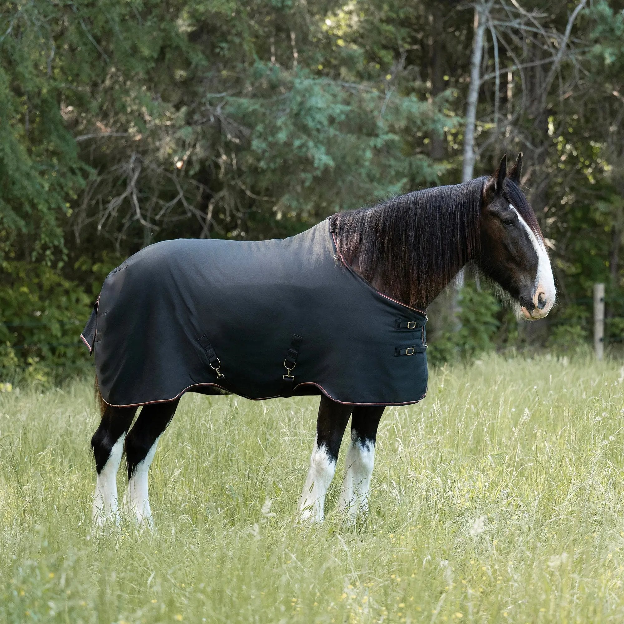 Kensington Draft Horse Lightweight 80g Winter Turnout Blanket - Waterproof & Breathable
