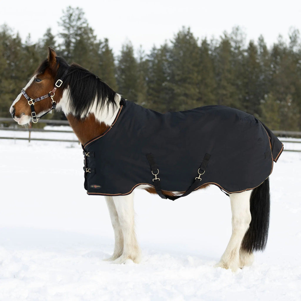 Kensington Draft Horse Midweight 180g Winter Turnout Blanket - Waterproof & Breathable