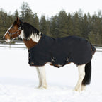 Kensington Draft Horse Midweight 180g Winter Turnout Blanket - Waterproof & Breathable