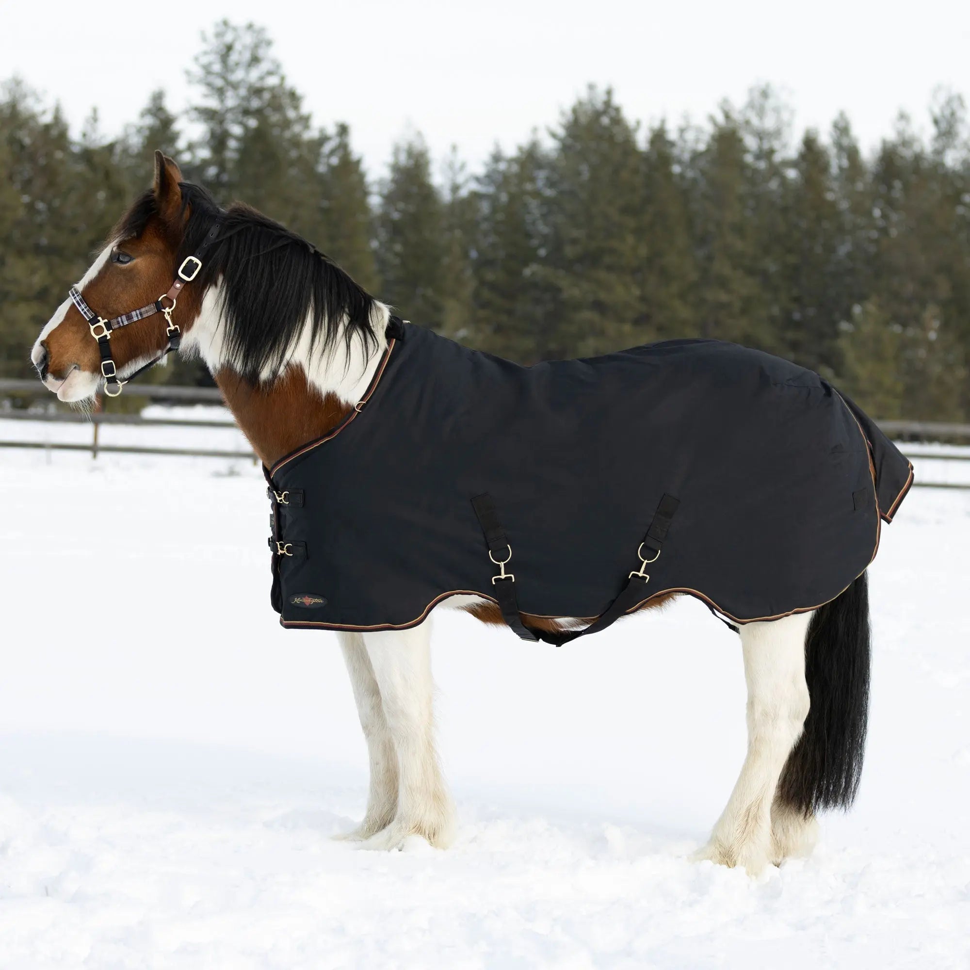 Kensington Draft Horse Midweight 180g Winter Turnout Blanket - Waterproof & Breathable