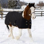 Kensington Draft Horse Midweight 180g Winter Turnout Blanket - Waterproof & Breathable