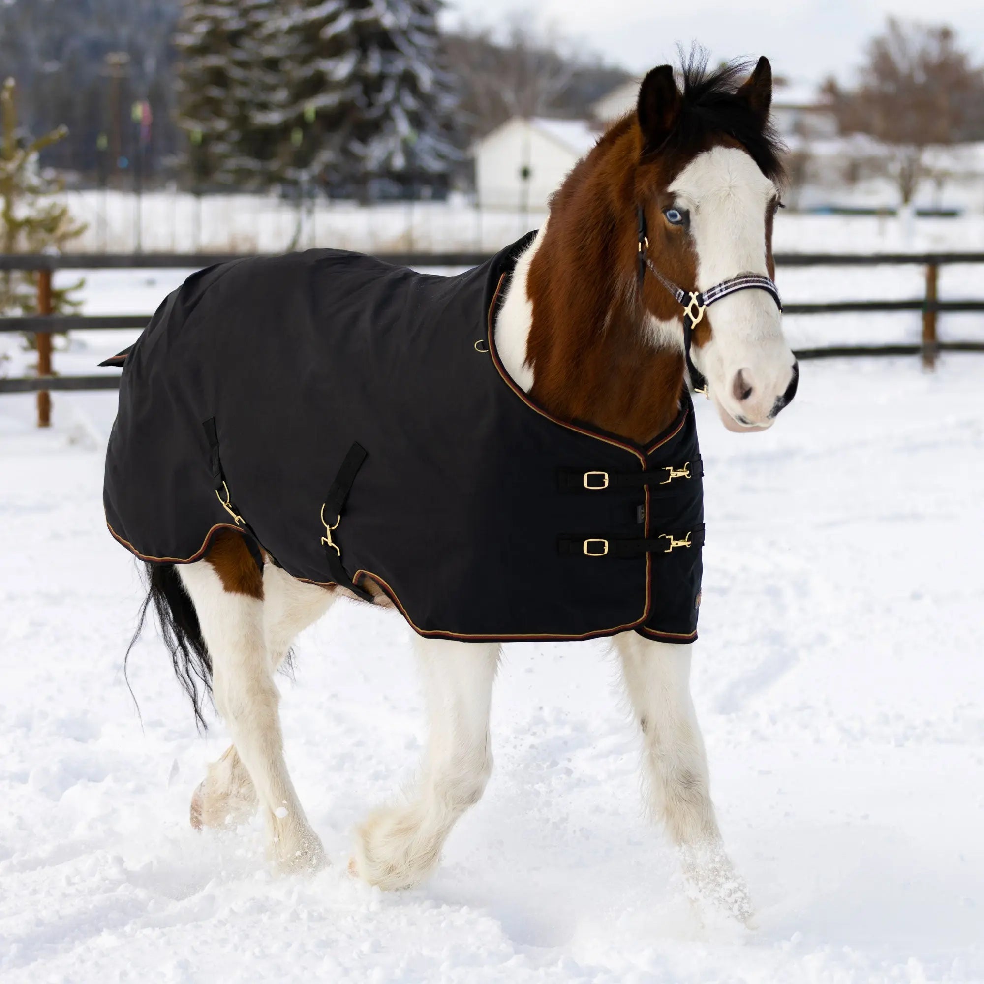 Kensington Draft Horse Heavyweight 300g Winter Turnout Blanket - Waterproof & Breathable