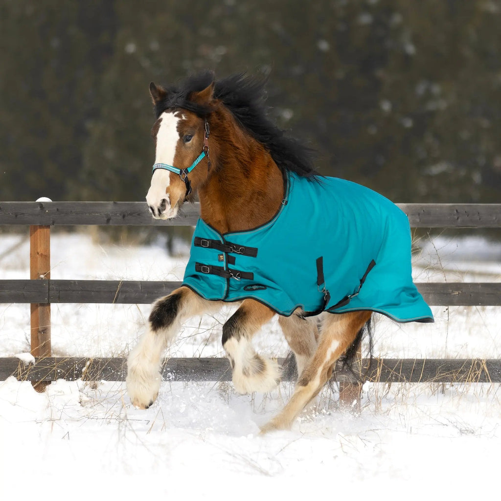 1200D Midweight 180g Horse Winter Turnout Blanket - Waterproof & Breathable