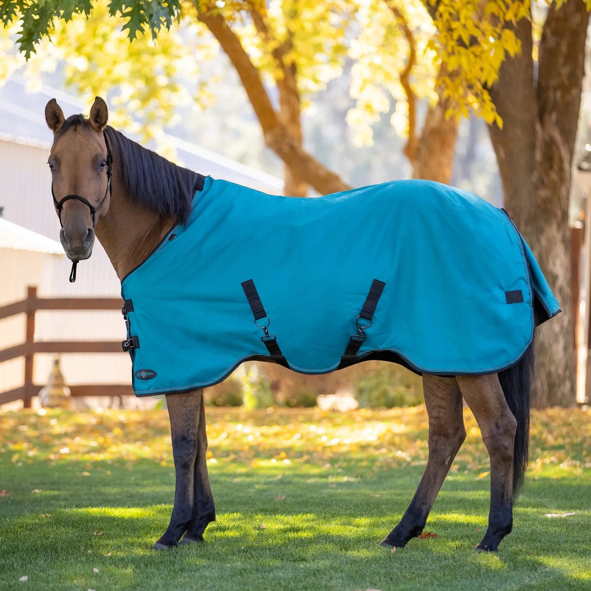1200D Lightweight 80g Horse Winter Turnout Blanket - Waterproof & Breathable