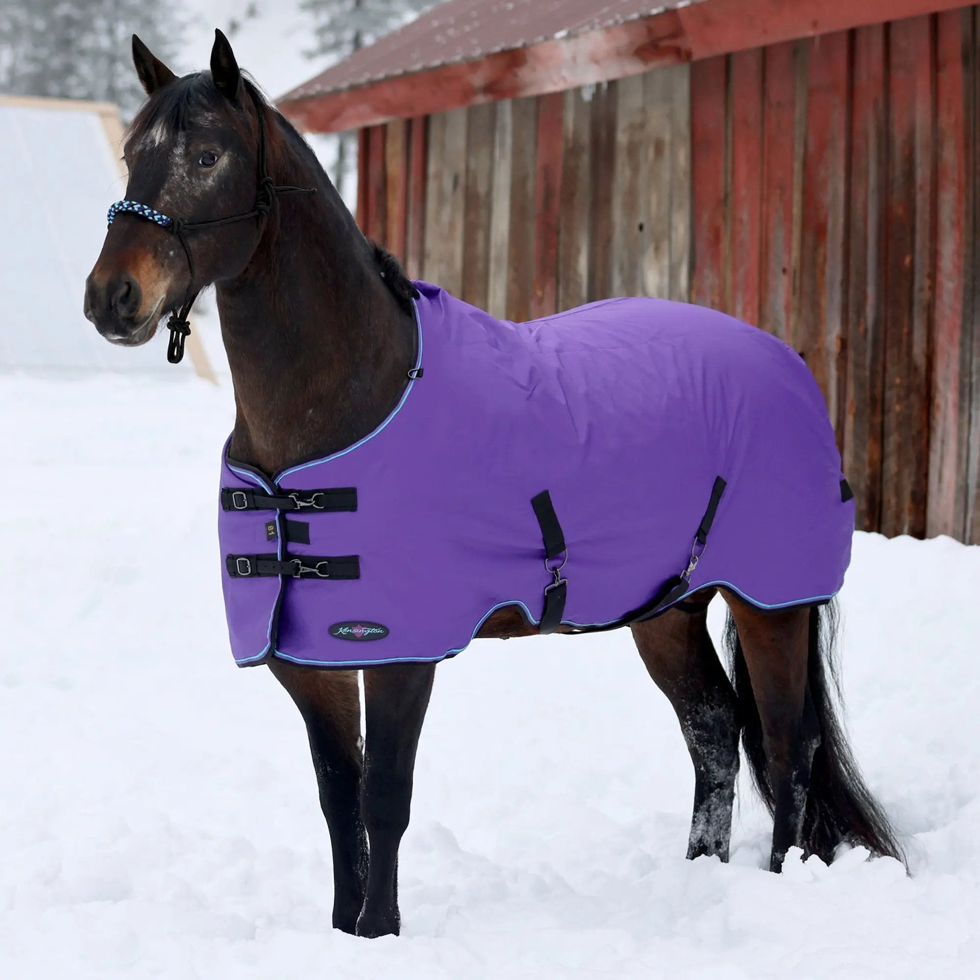 1200D Heavyweight 300g Horse Winter Turnout Blanket - Waterproof & Breathable