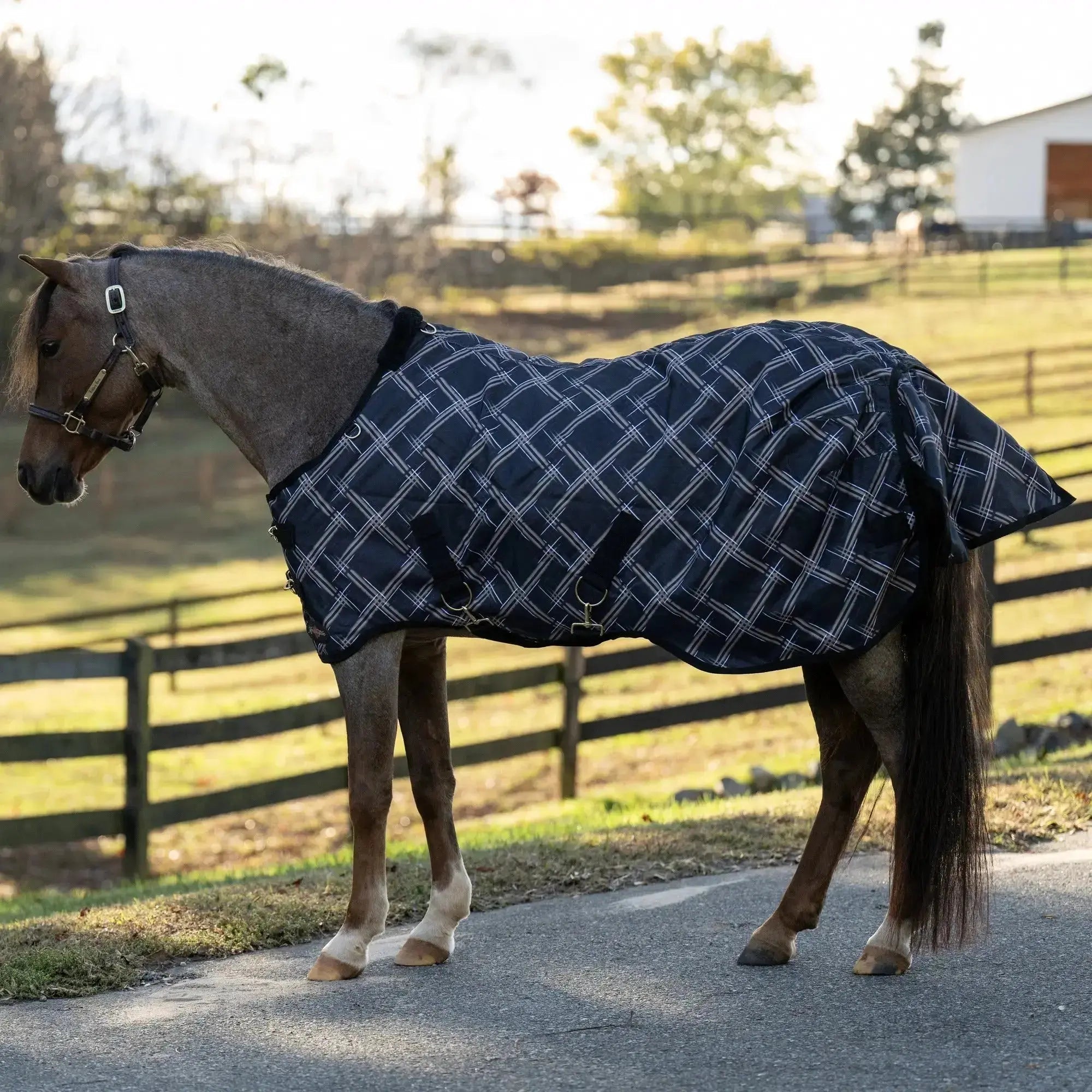 Kensington Pony Midweight 180g Horse Winter Turnout Blanket - Waterproof & Breathable