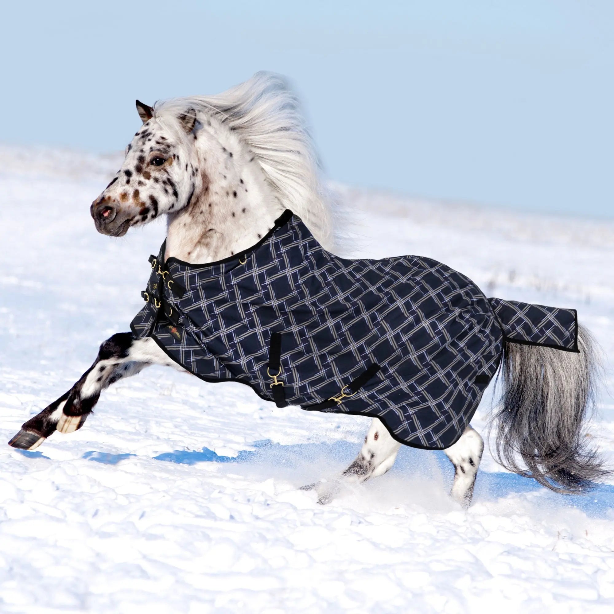 Kensington Pony Heavyweight 300g Horse Winter Turnout Blanket - Waterproof & Breathable