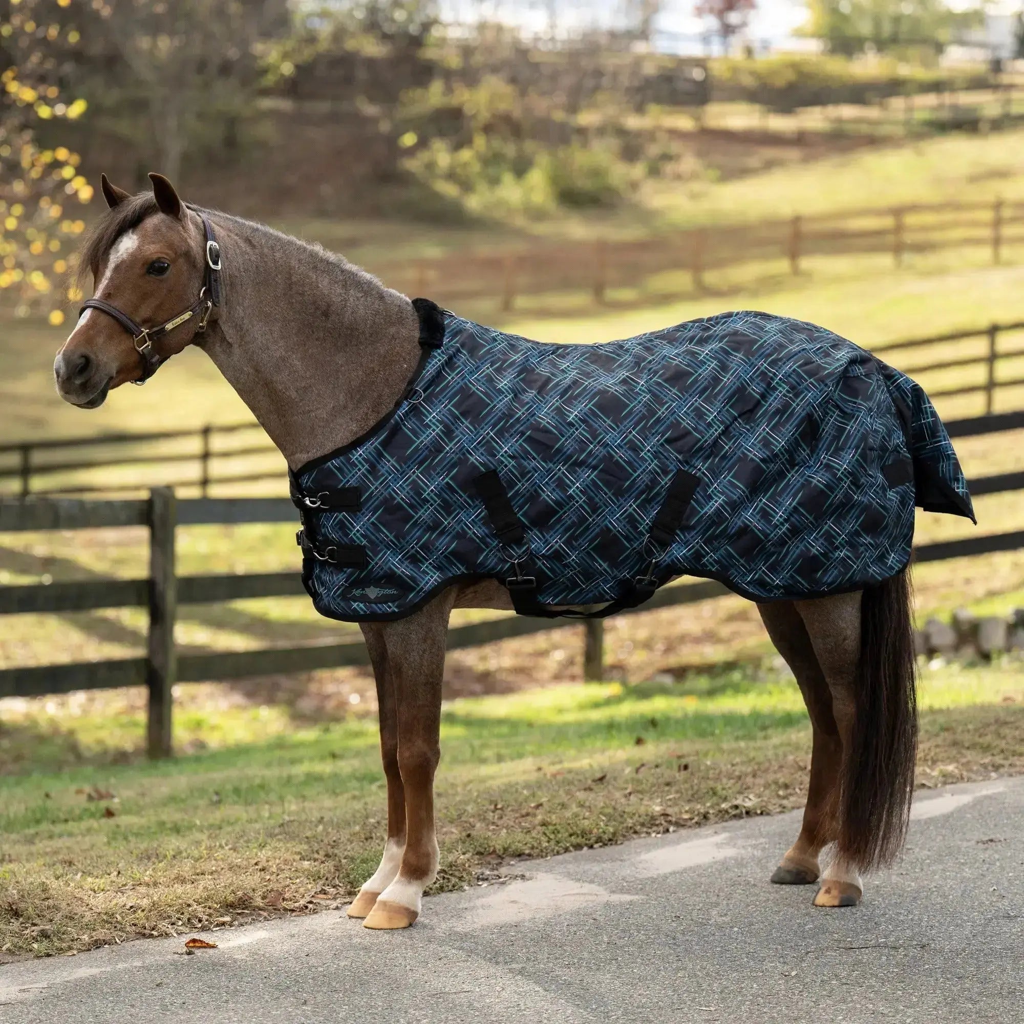 Kensington Pony Heavyweight 300g Horse Winter Turnout Blanket - Waterproof & Breathable