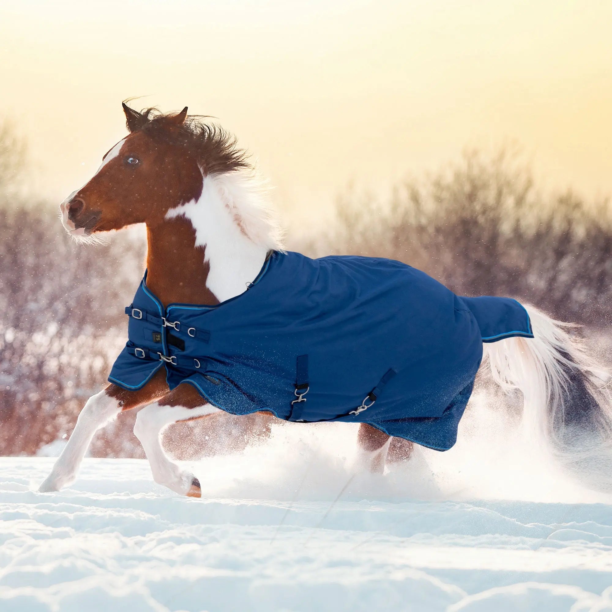 Kensington Pony Midweight 180g Horse Winter Turnout Blanket - Waterproof & Breathable