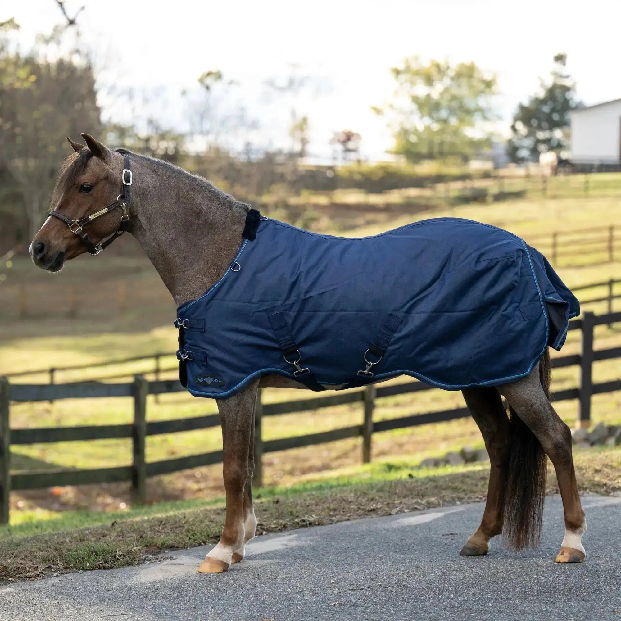 Kensington Pony Lightweight 80g Horse Winter Turnout Blanket - Waterproof & Breathable