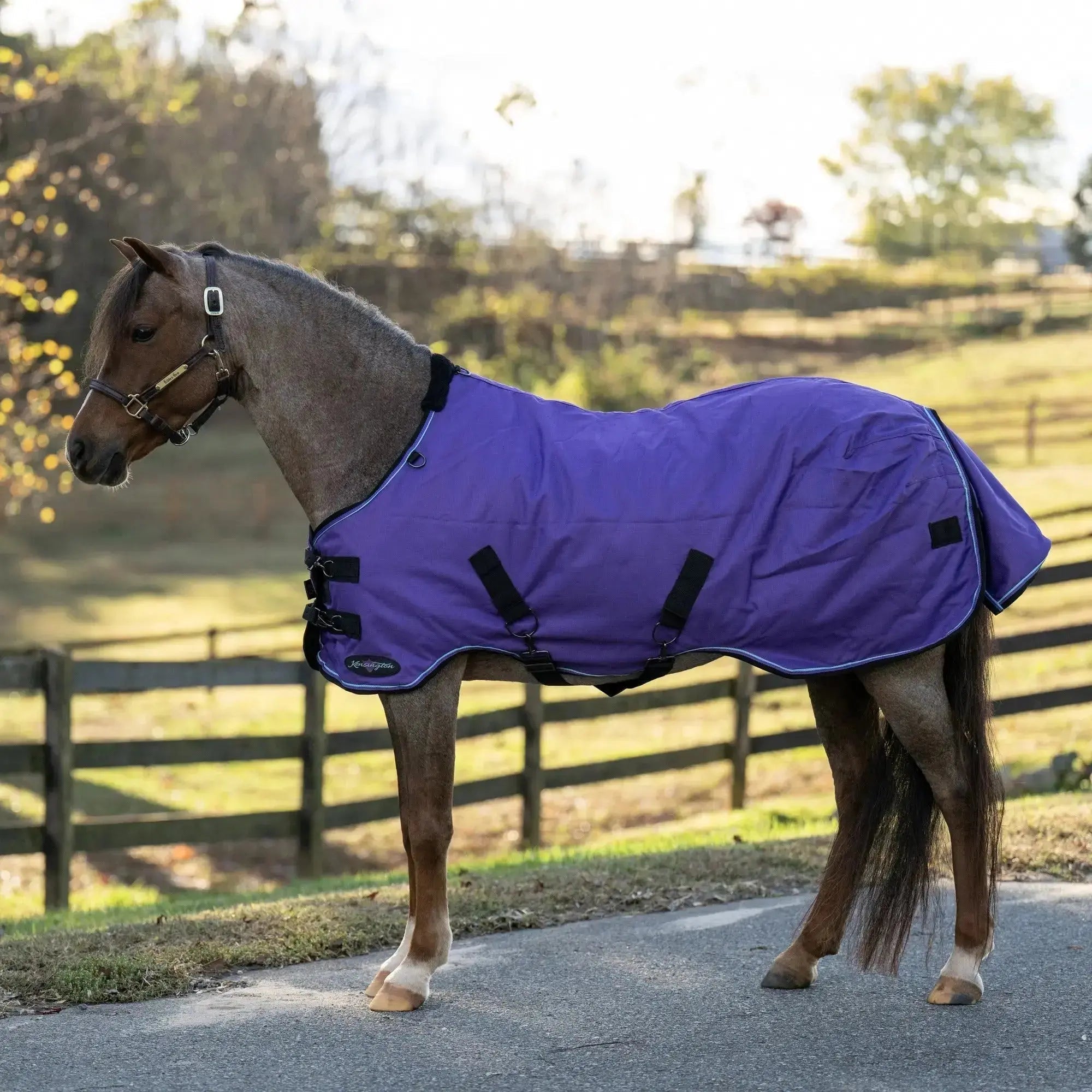 Kensington Pony Lightweight 80g Horse Winter Turnout Blanket - Waterproof & Breathable
