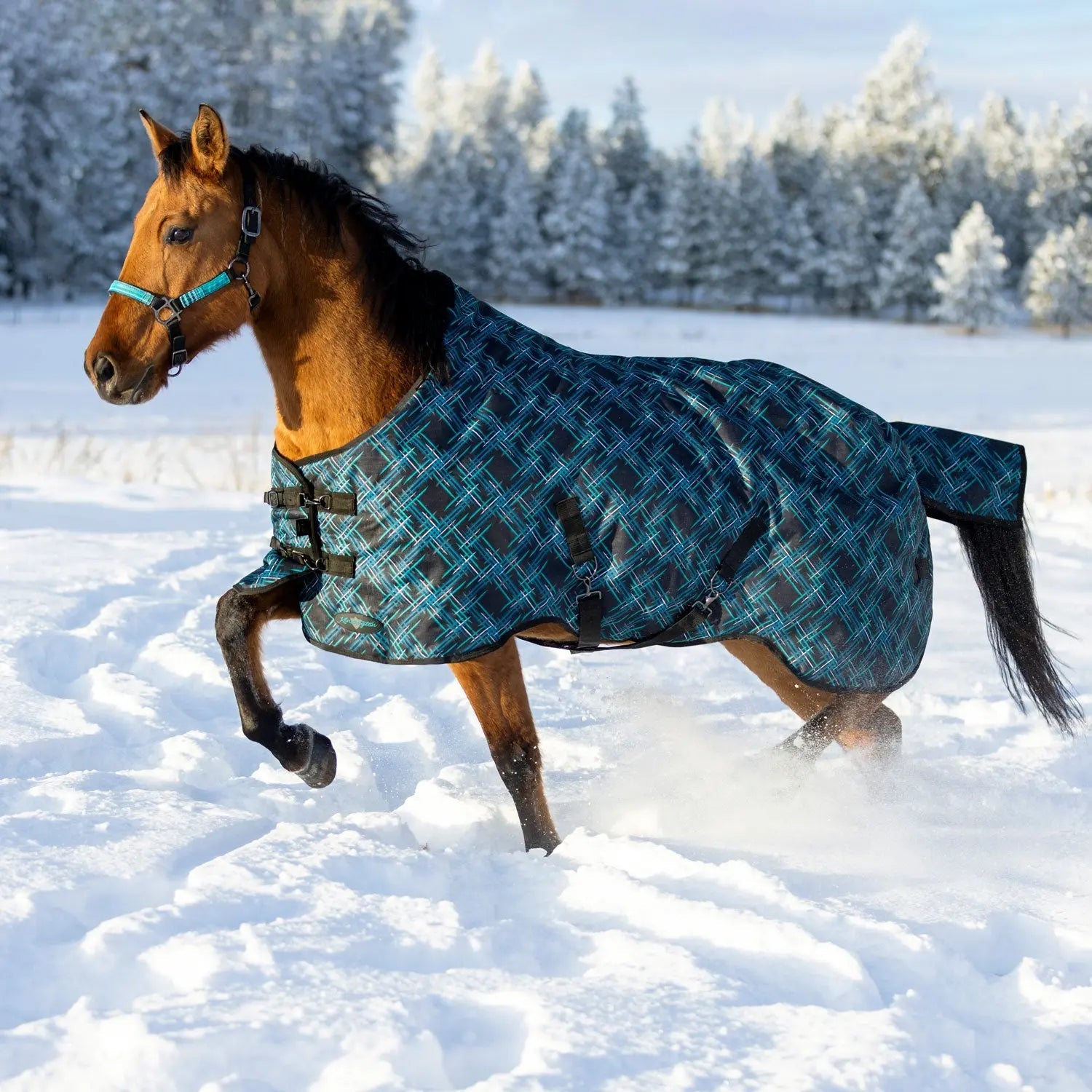 1200D Midweight 180g Horse Winter Turnout Blanket - Waterproof & Breathable