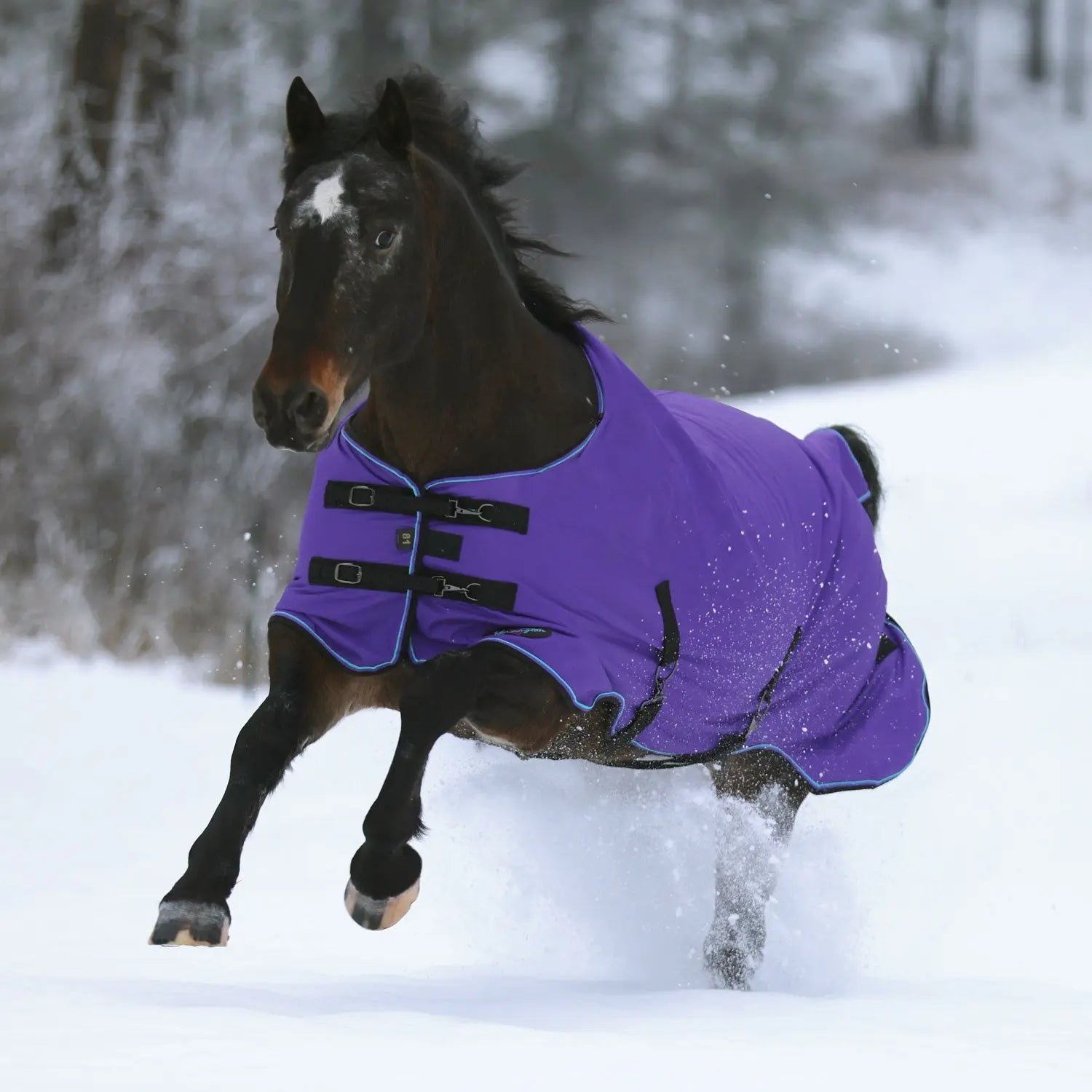 1200D Heavyweight 300g Horse Winter Turnout Blanket - Waterproof & Breathable