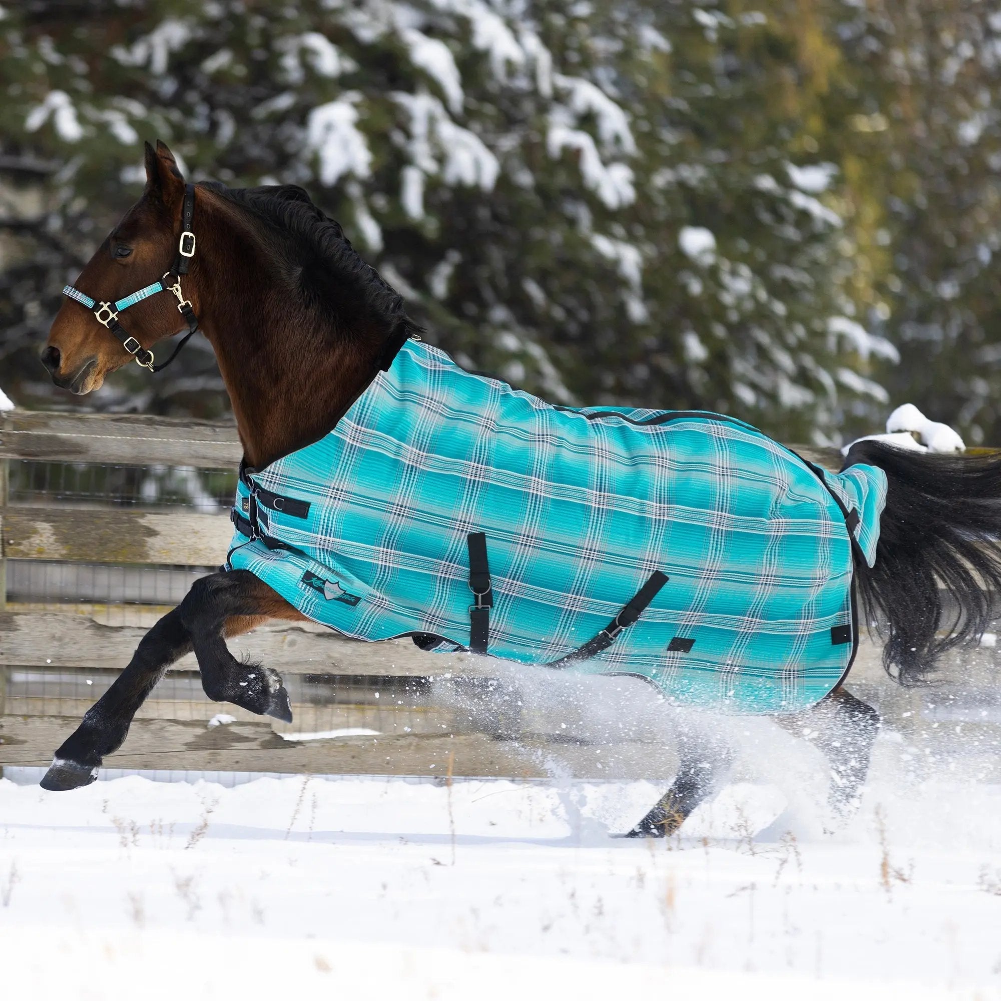 Kensington SuperMesh® Winter Turnout Blanket & Blanket Storage Bag