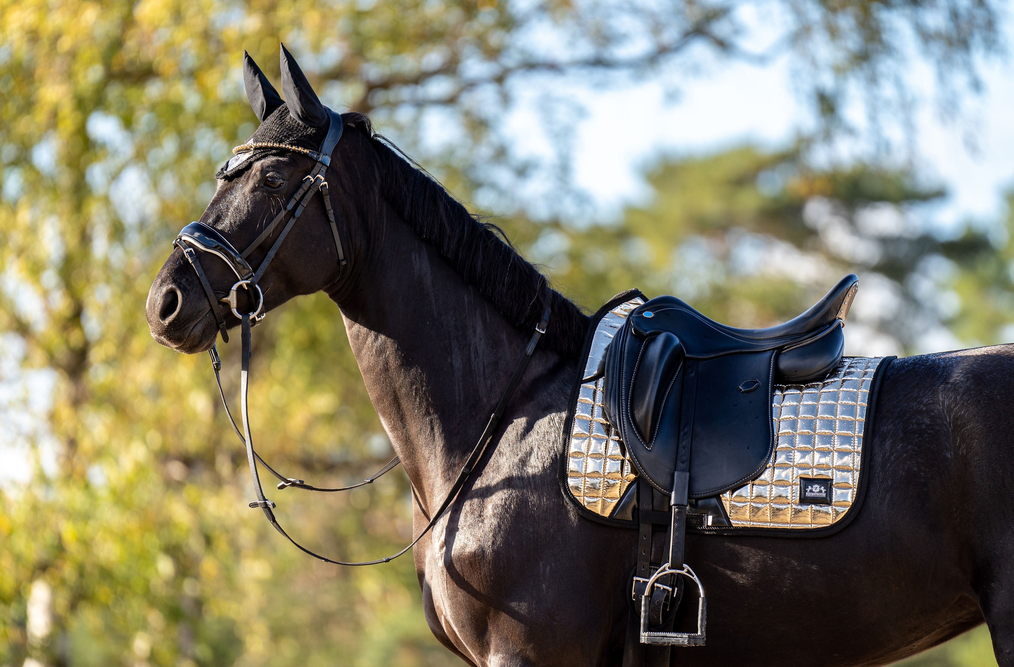 Aurum Saddle Pad Set