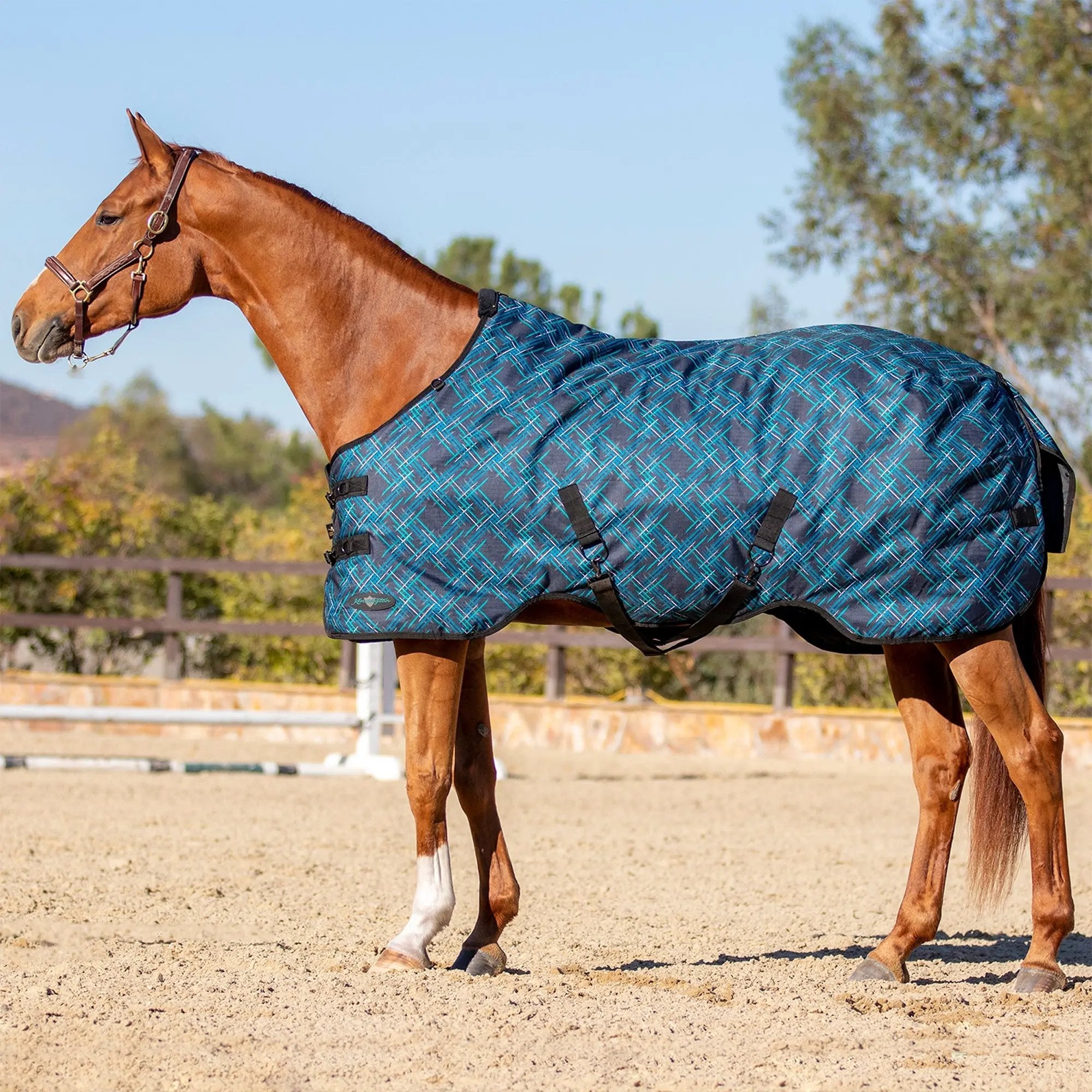 1200D Lightweight 80g Horse Winter Turnout Blanket - Waterproof & Breathable