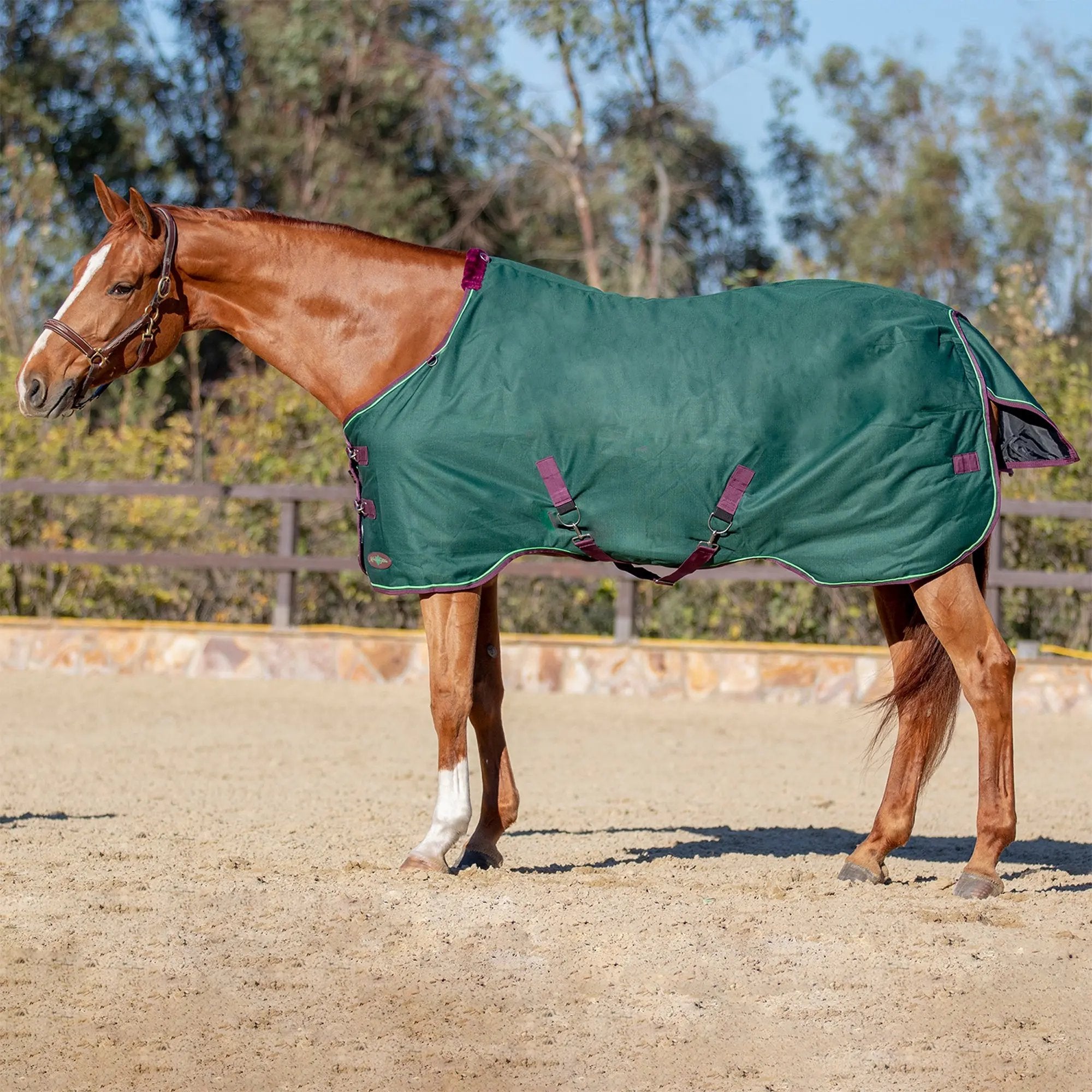1200D Lightweight 80g Horse Winter Turnout Blanket - Waterproof & Breathable