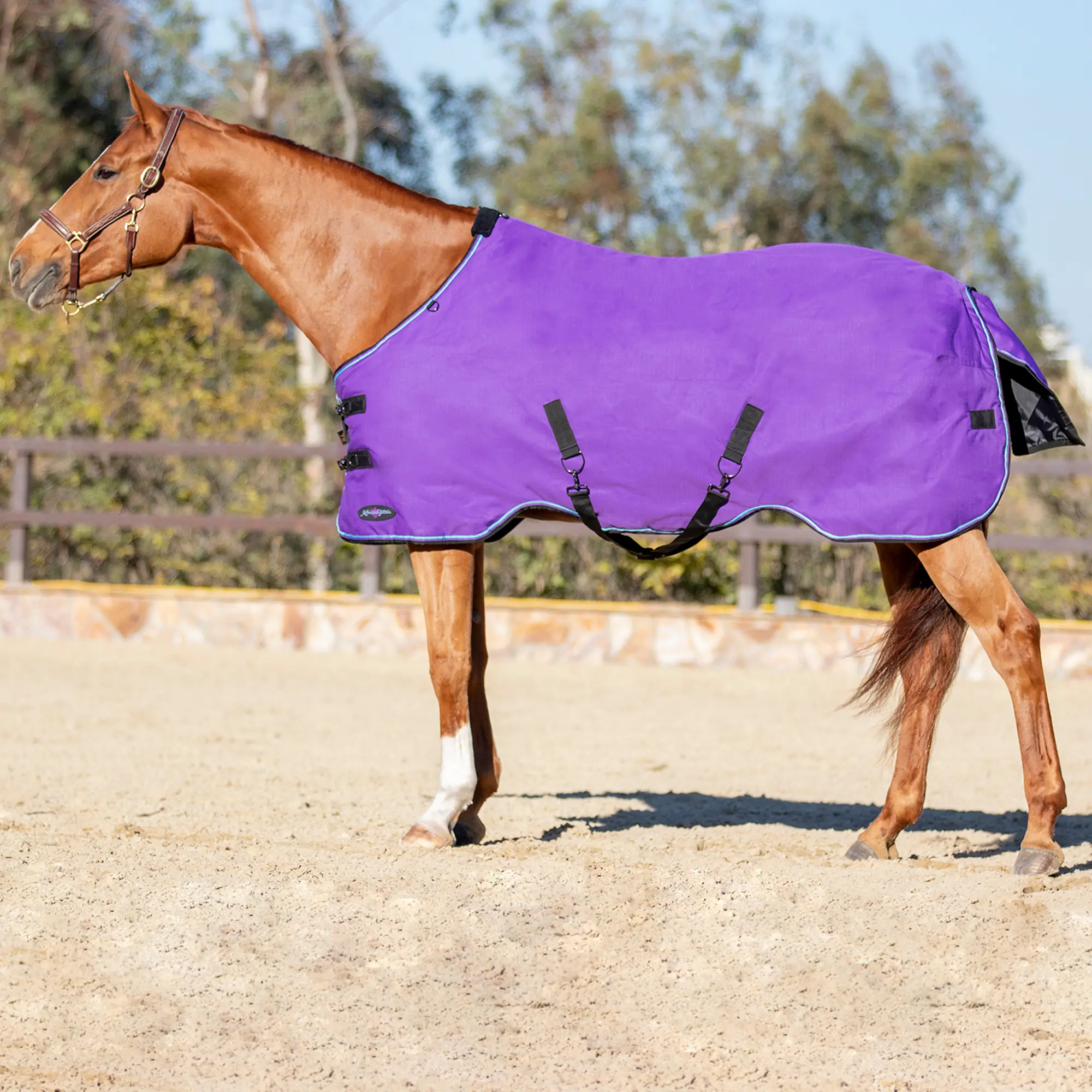 1200D Lightweight 80g Horse Winter Turnout Blanket - Waterproof & Breathable