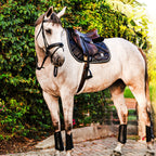 B&W - Black Saddle Pad Set