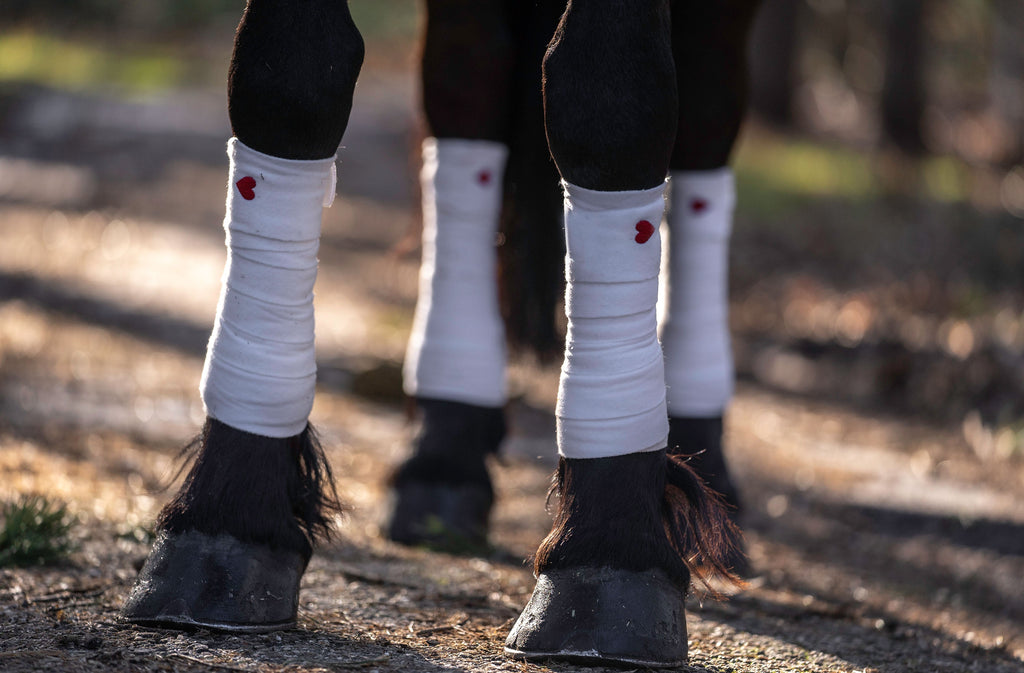 Queen of Hearts Velvet Saddle Pad Set (Limited Edition)