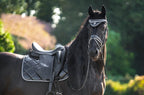 Black Ink Saddle Pad Set