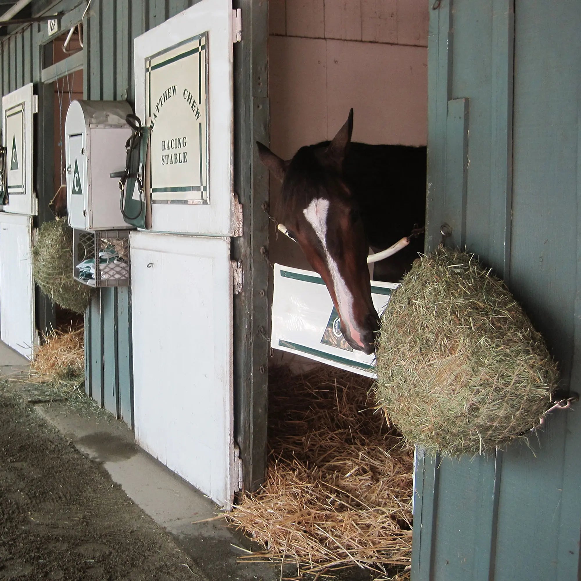 Freedom Feeder Trailer/Mini Hay Net - Slow Feed Hay Net - 2 Flake  - 3 Size Mesh Options